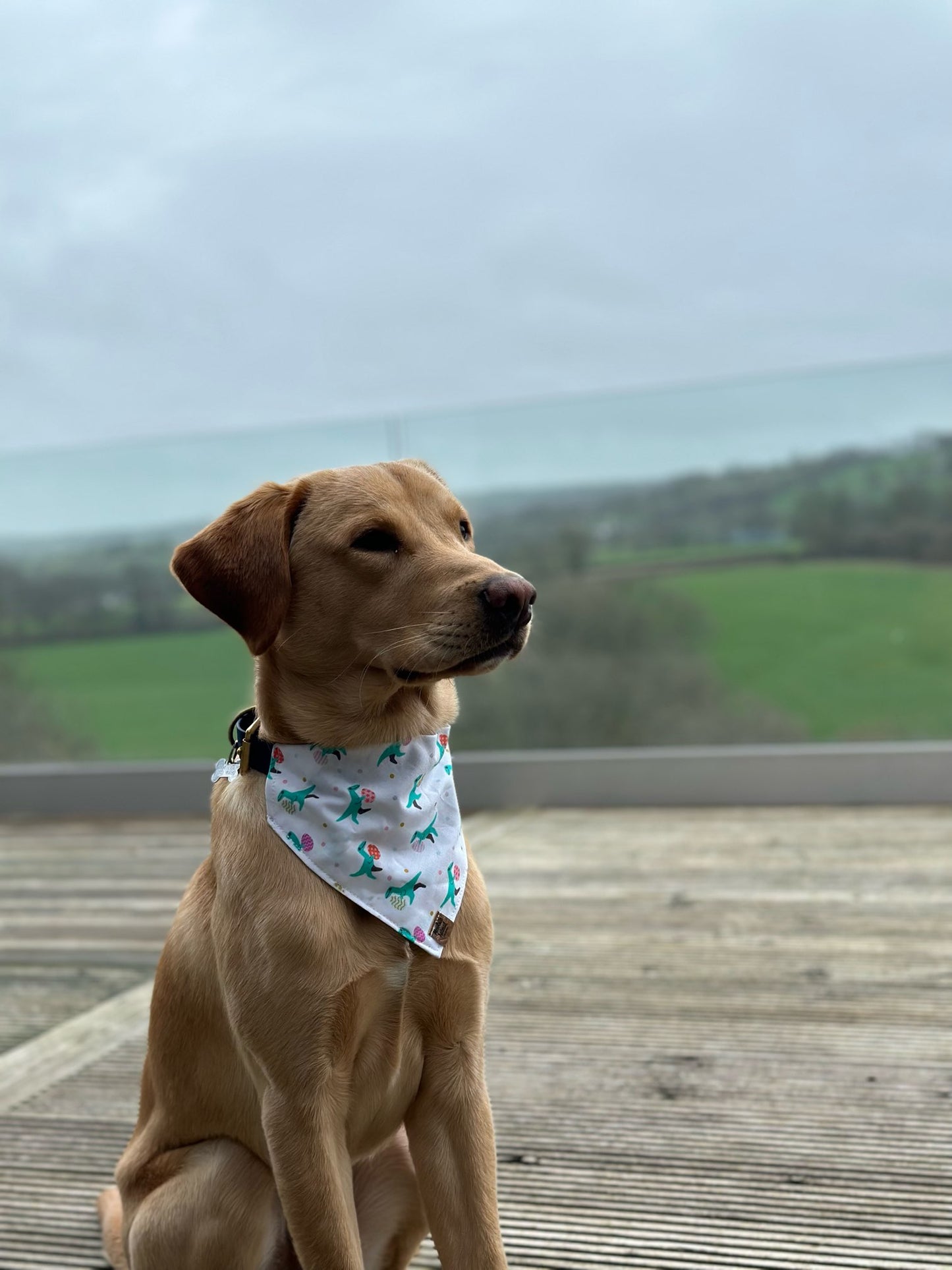 Bandana - Dino Easter Egg Hunt