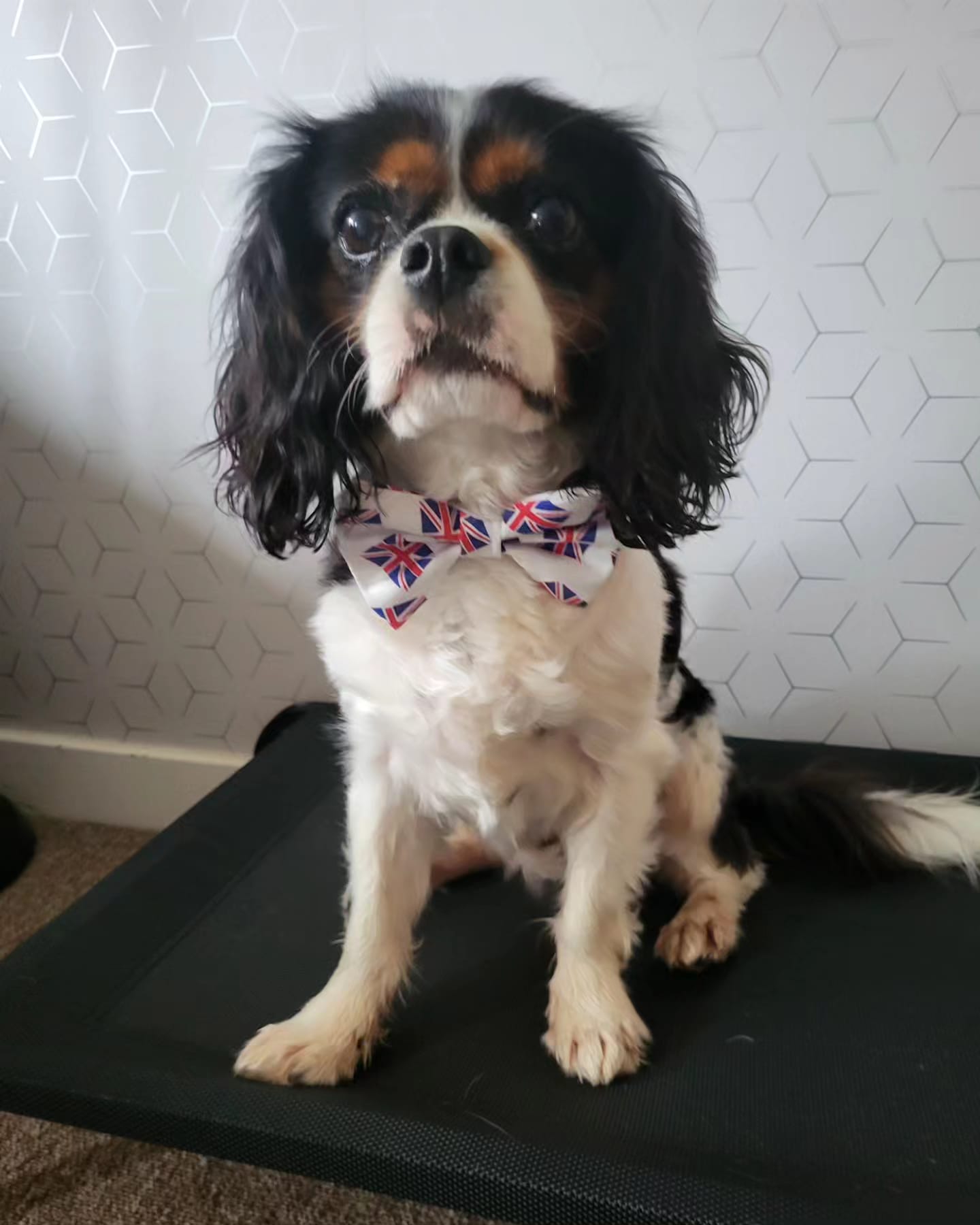 Bow Tie - Union Jack