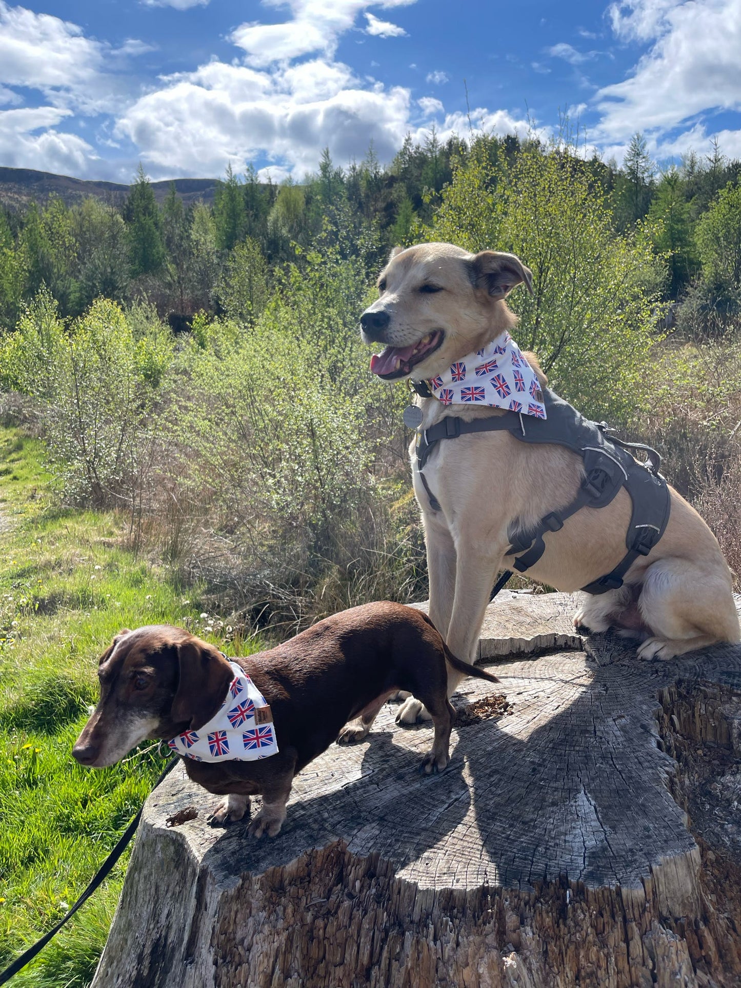 Bandana - Union Jack