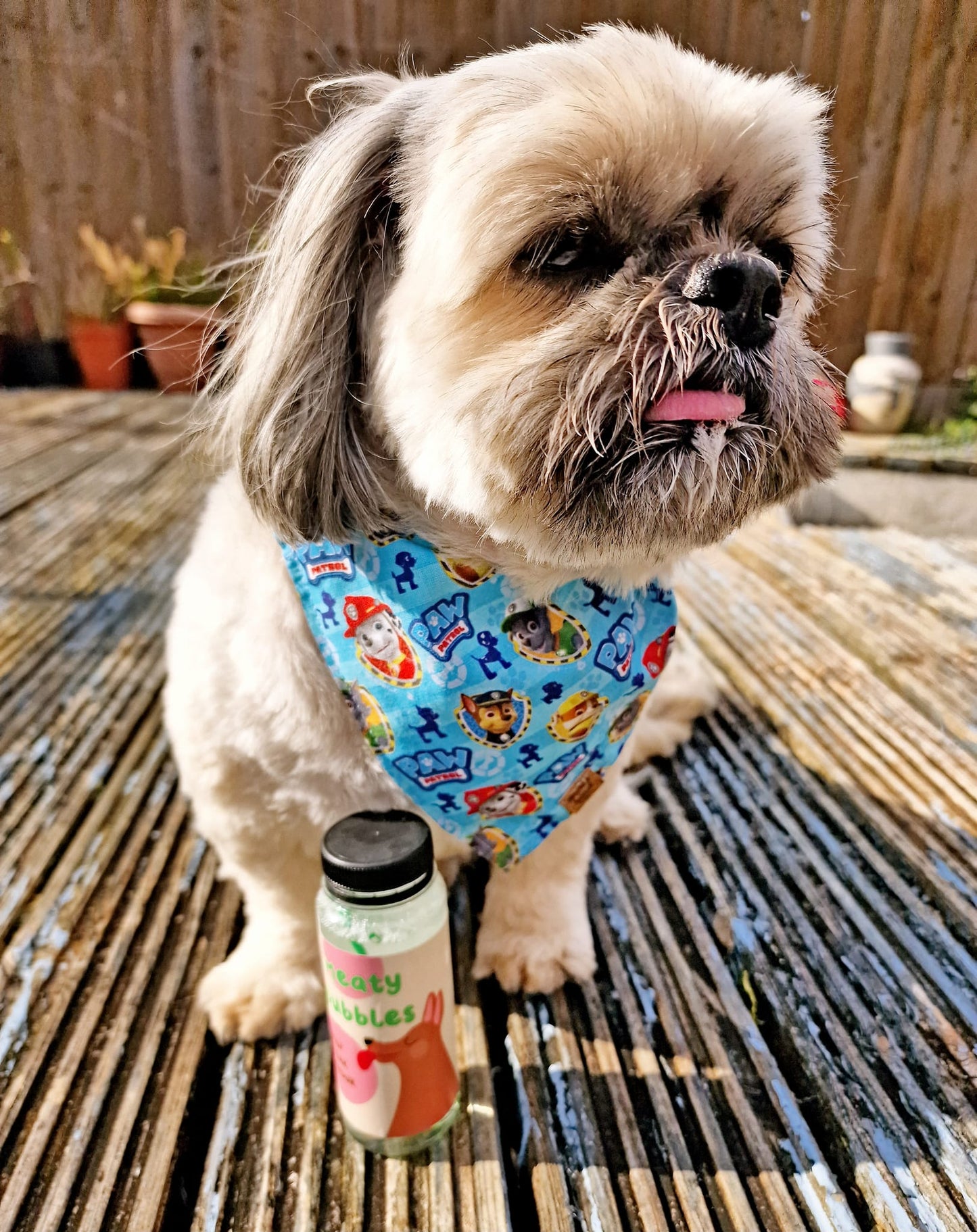 Bandana - Paw Patrol