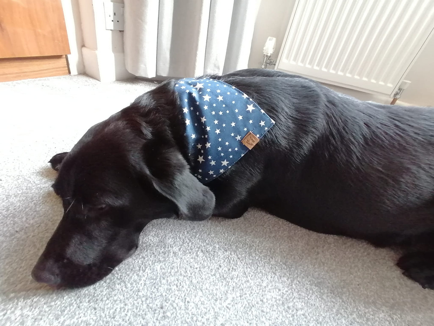 Bandana - Midnight Sky