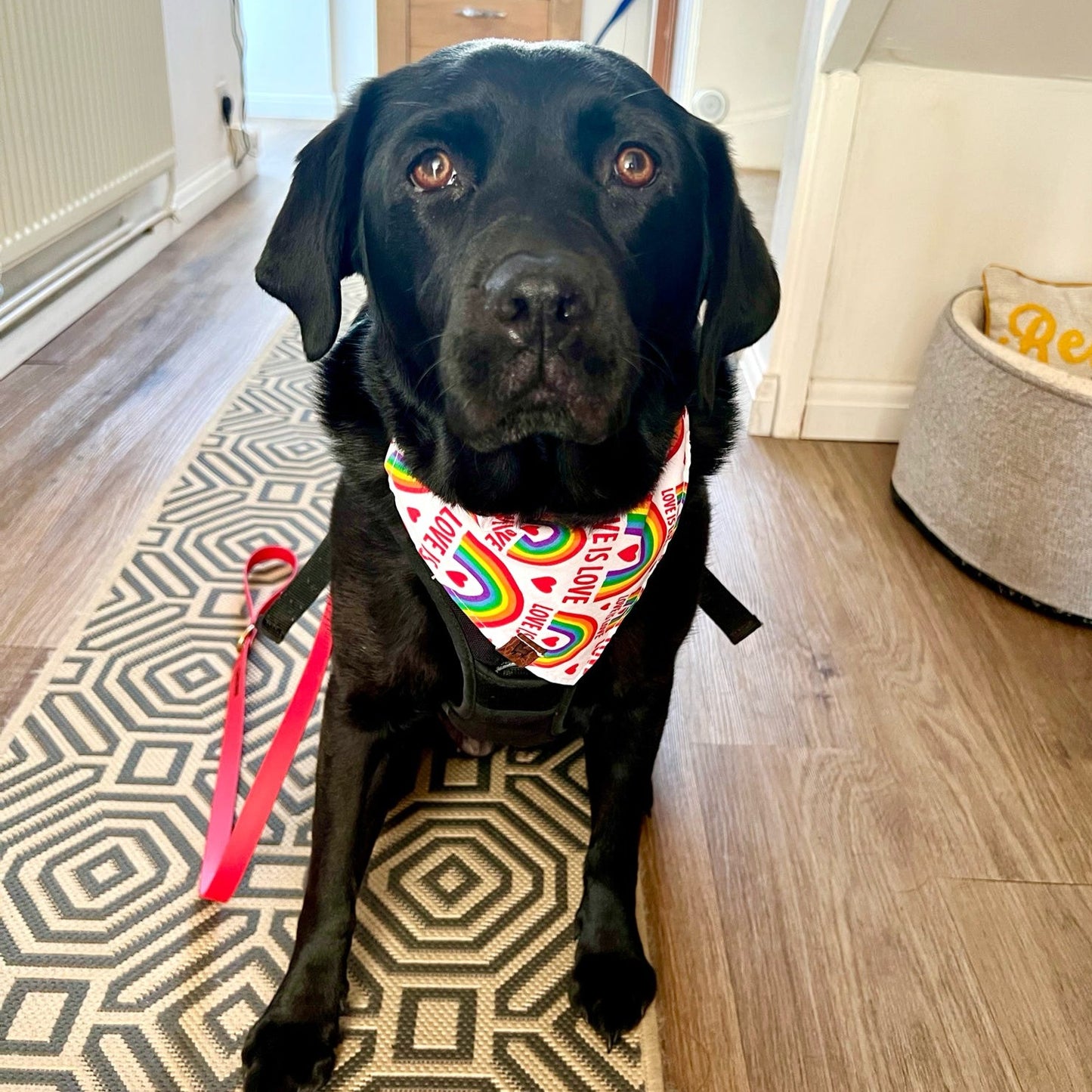 Bandana - Love Is Love