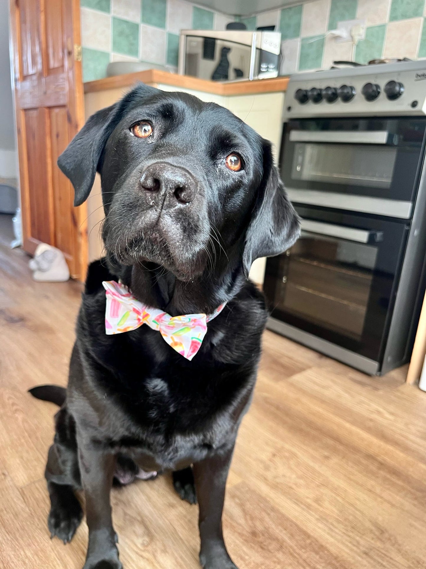 Bow Tie - Summer Lollipop