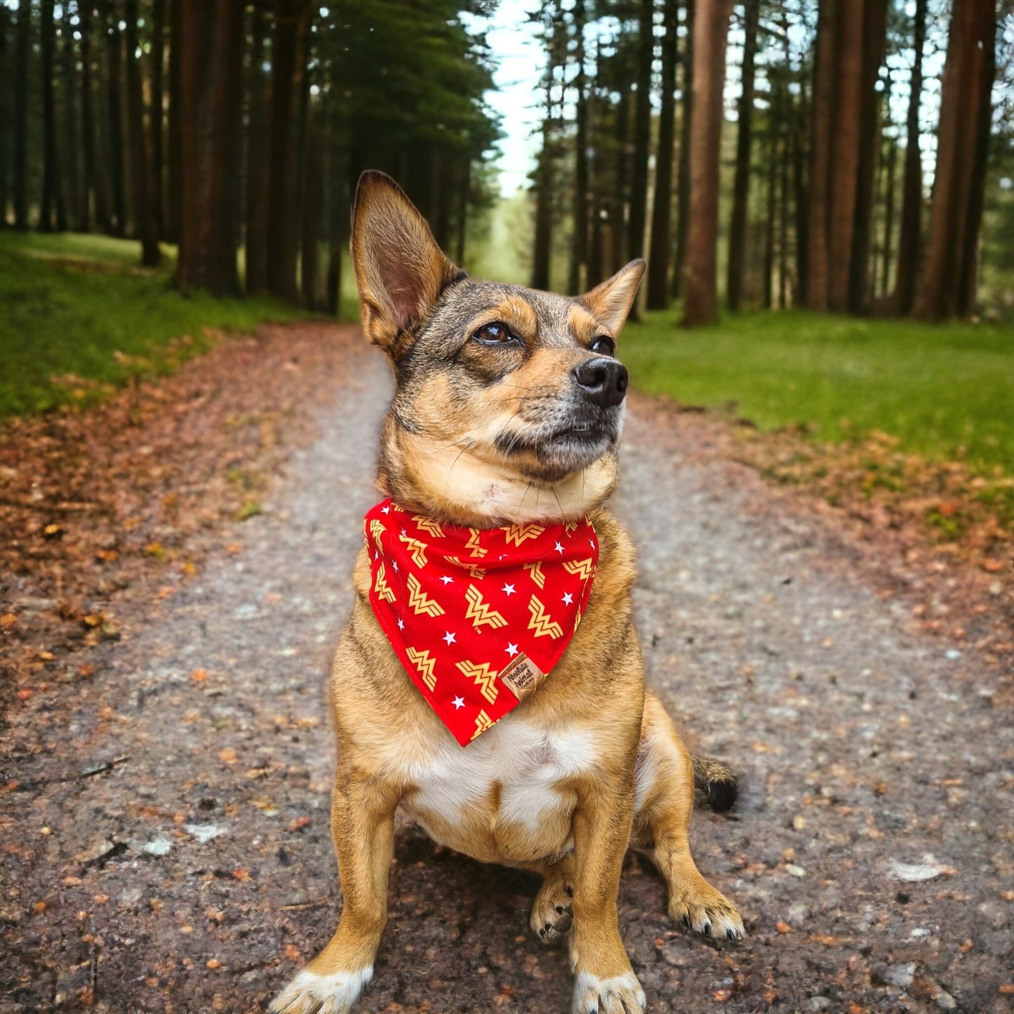 Bandana - Wonder Woman