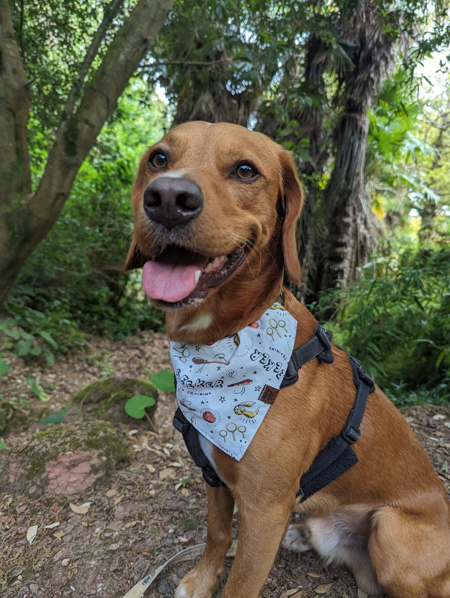 Bandana - Harry Potter "Seeker"