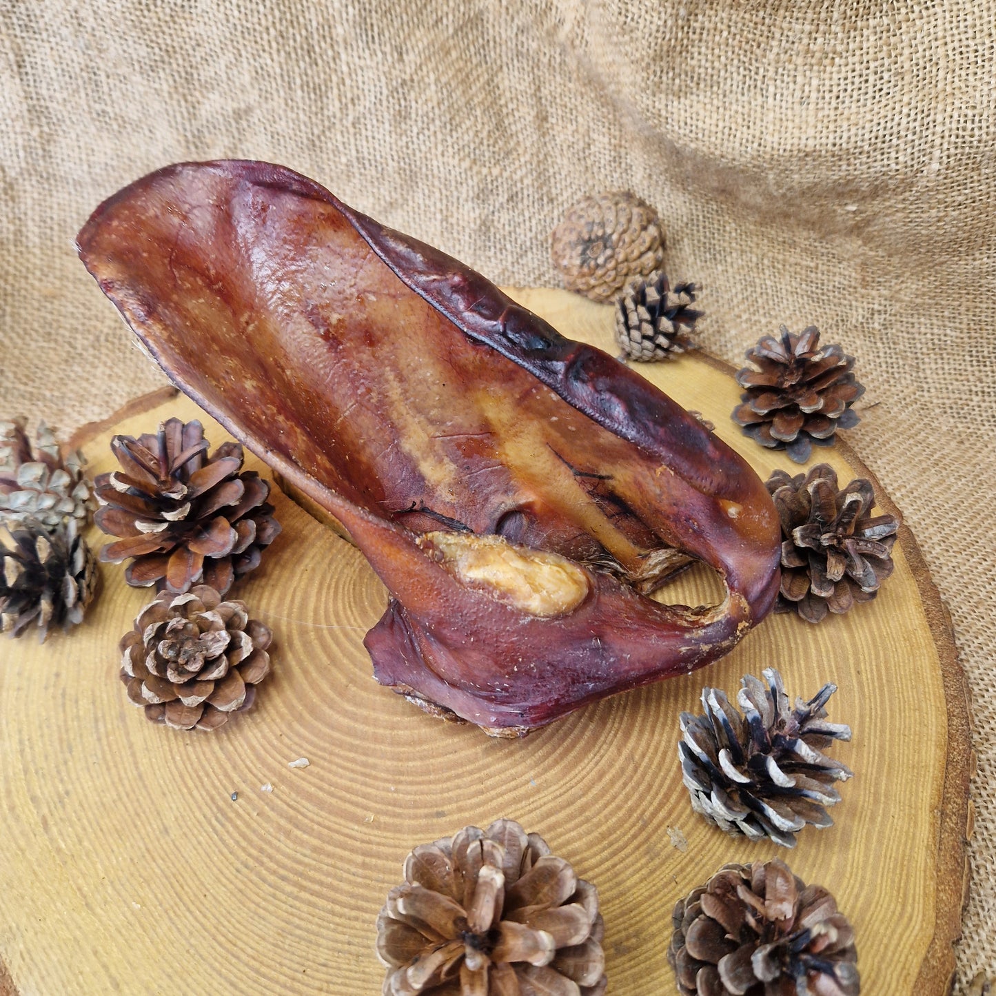 Natural Treat - XXL Sow Ear