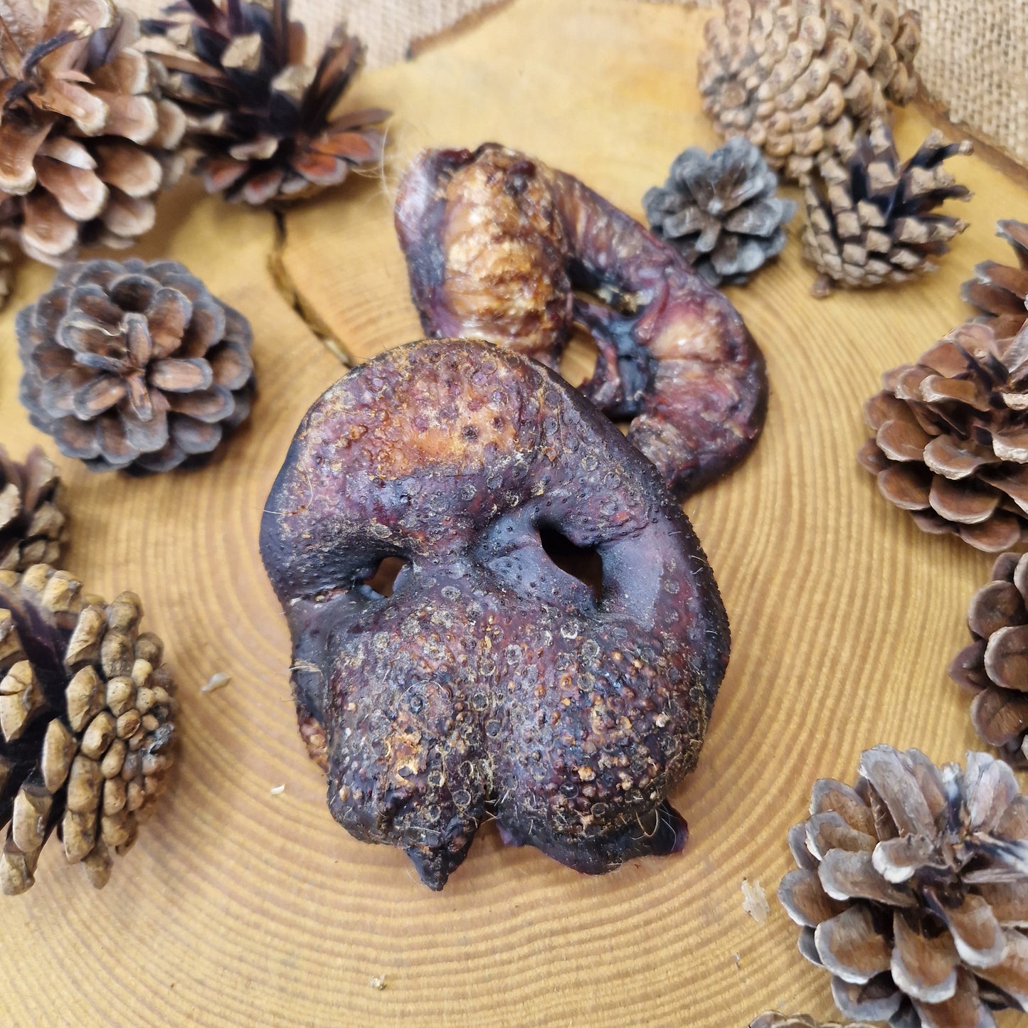 Natural Treat - Pig Snout