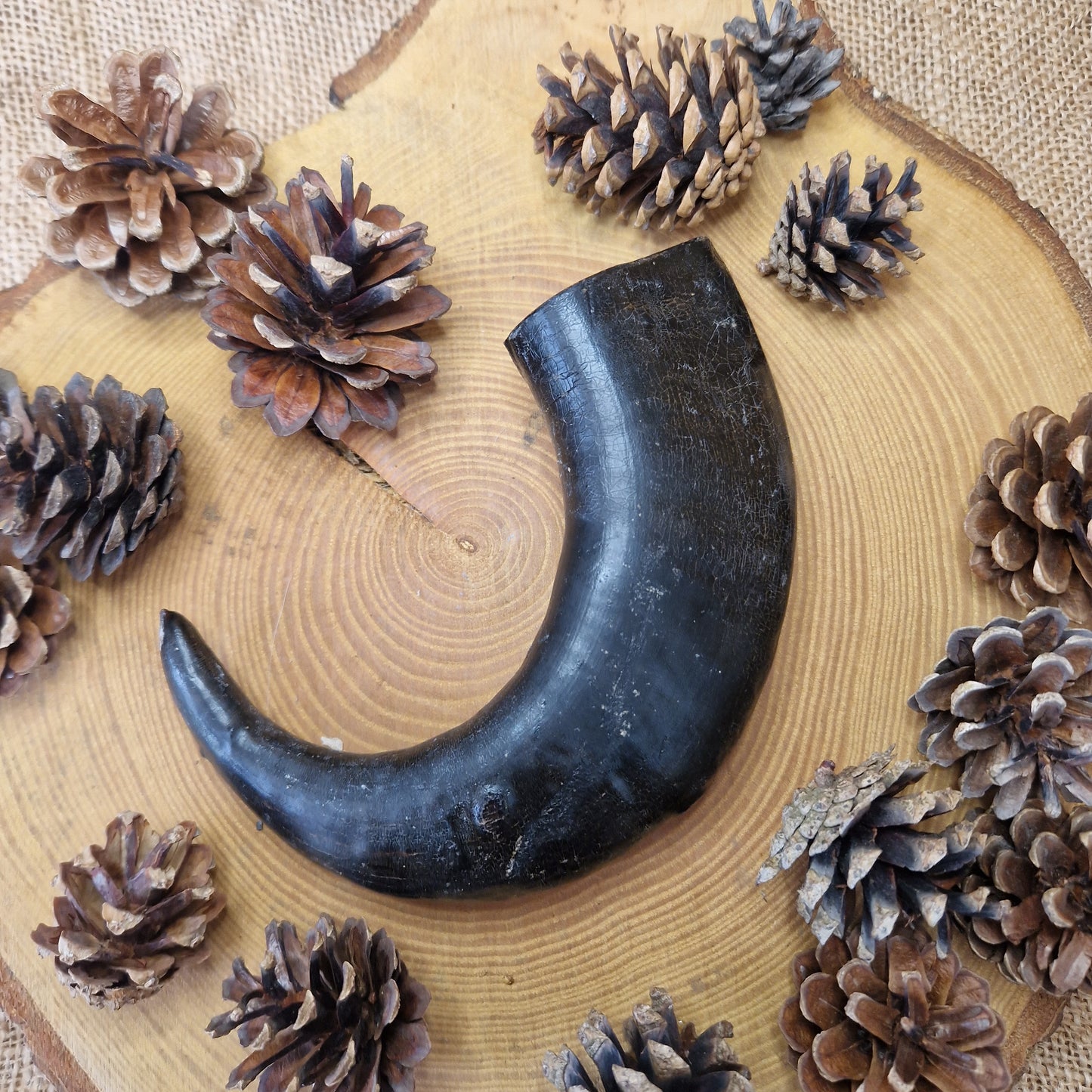 Natural Treat - Buffalo Horn