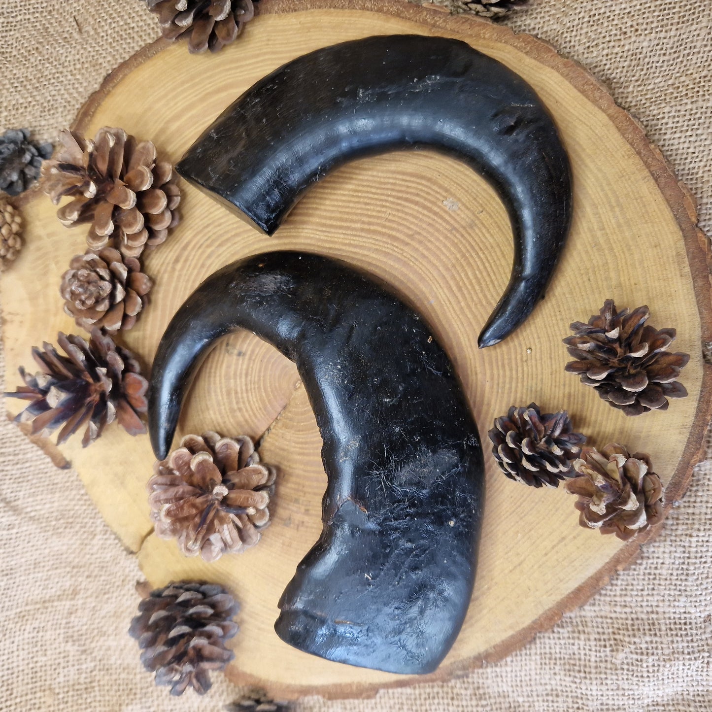 Natural Treat - Buffalo Horn