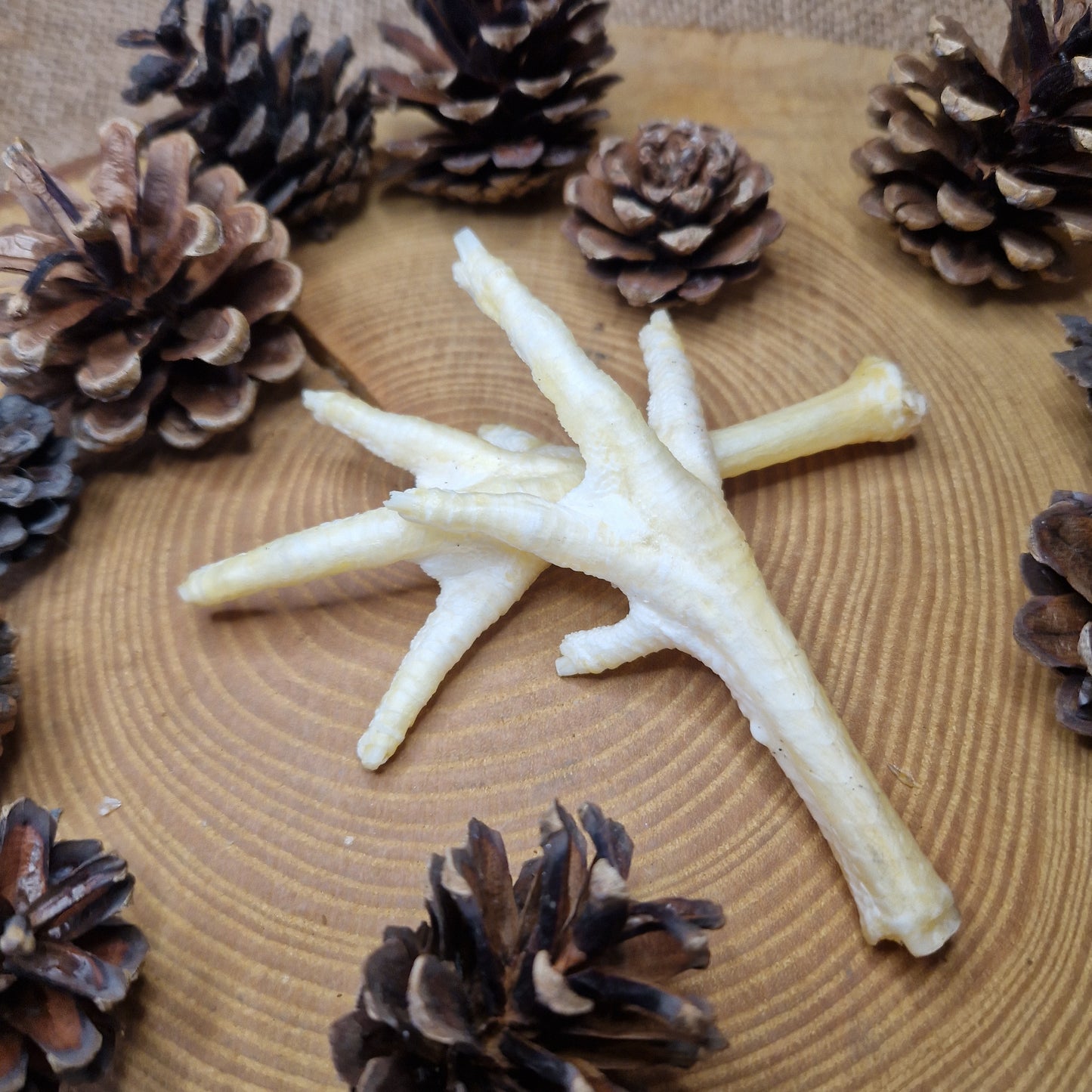 Natural Treat - Puffed Chicken Foot