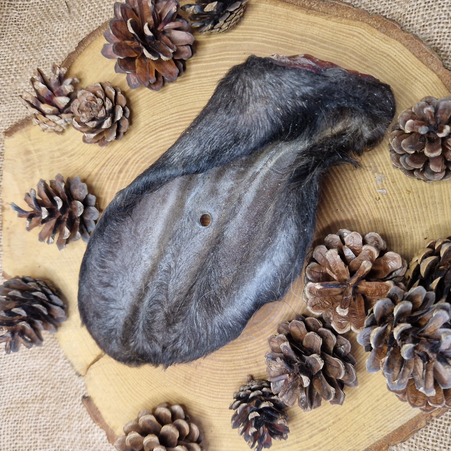 Natural Treat - Hairy Cow Ear