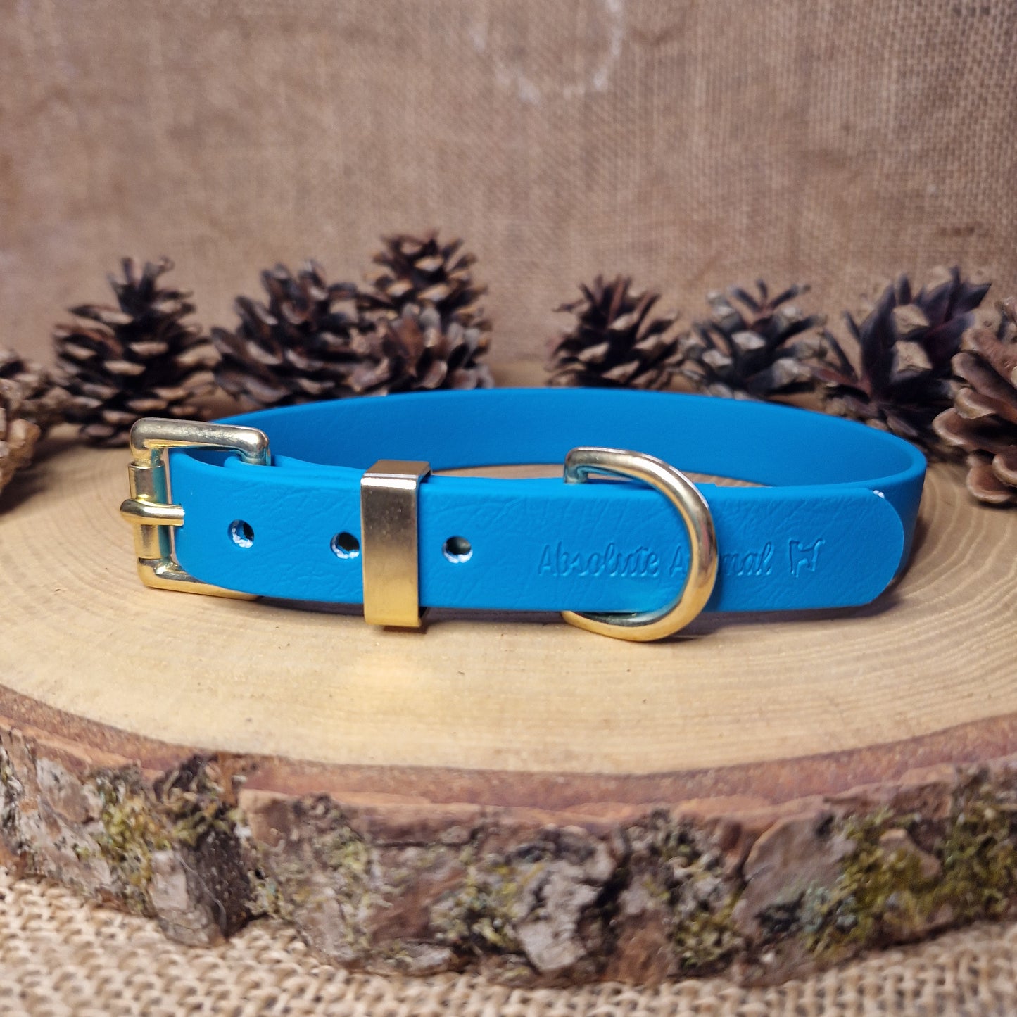 Waterproof Collar - Turquoise