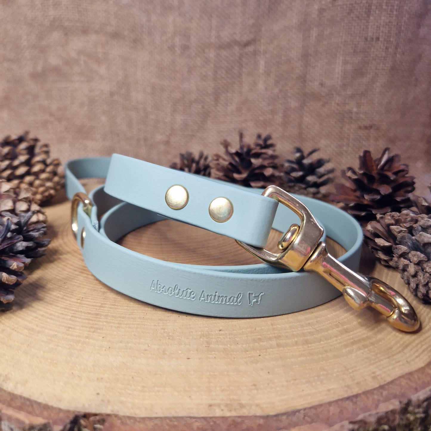Waterproof Lead - Sage Green
