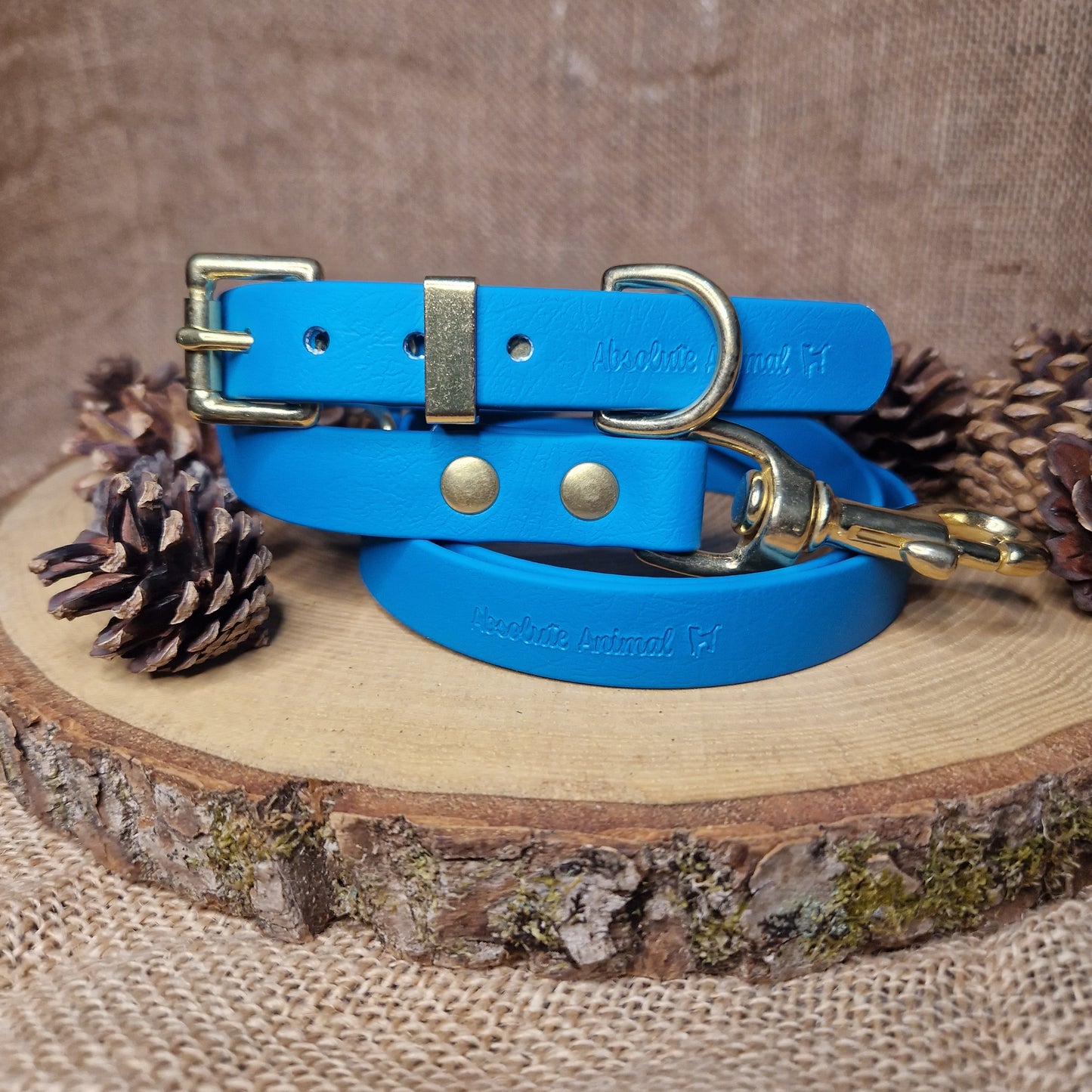 Waterproof Collar - Turquoise