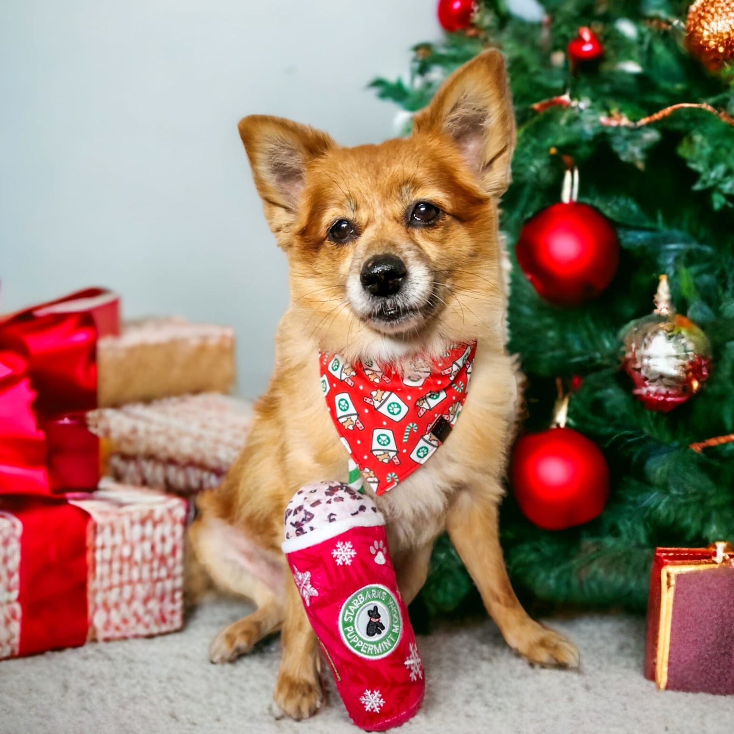 Christmas Bandana - Pup Cup!