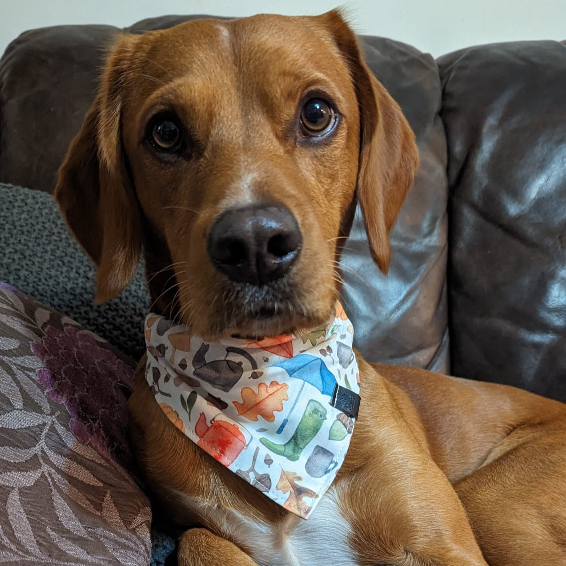 Bandana - Winter Welly Walks