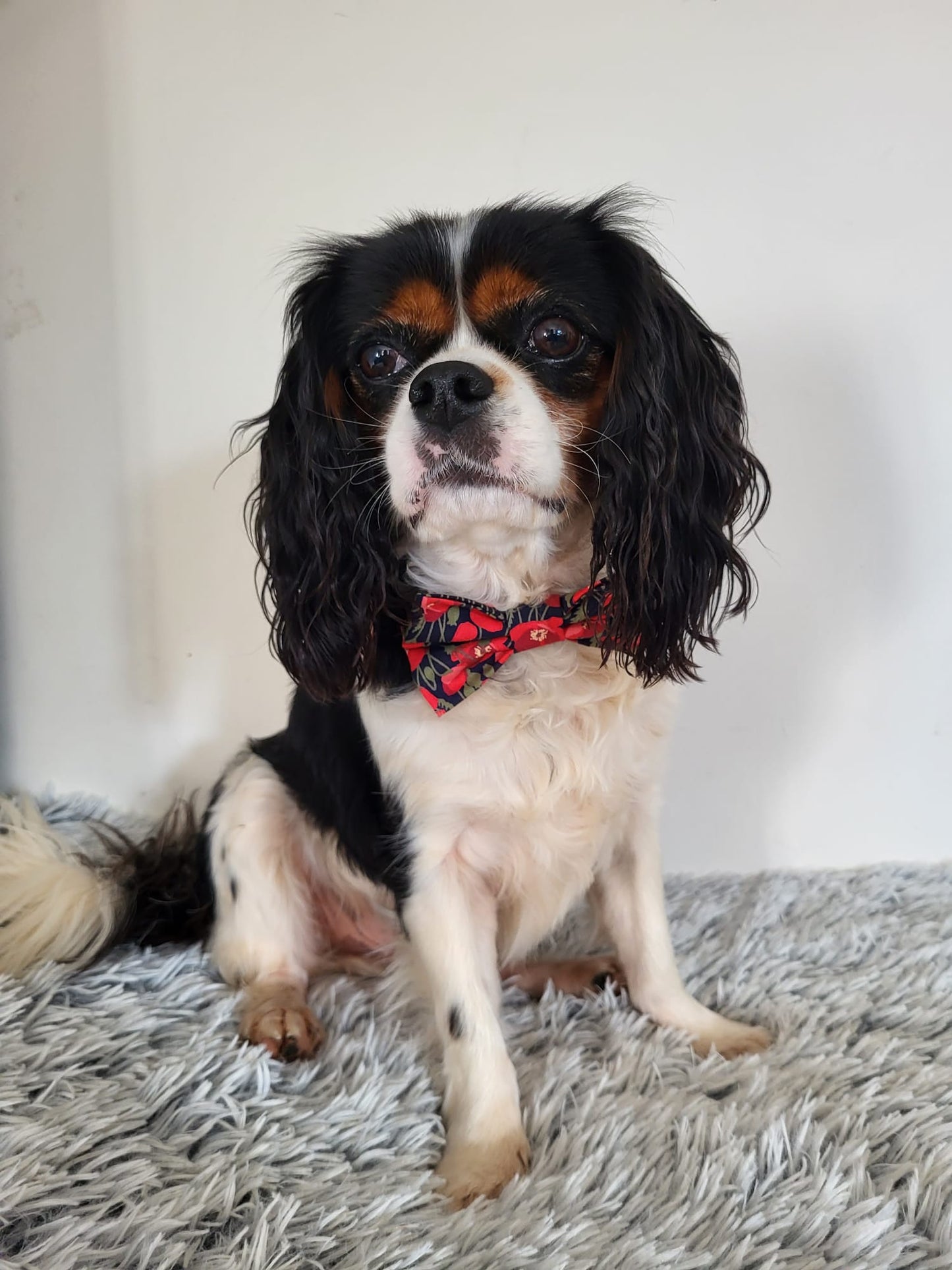 Bow Tie - Poppy Appeal Navy 2022