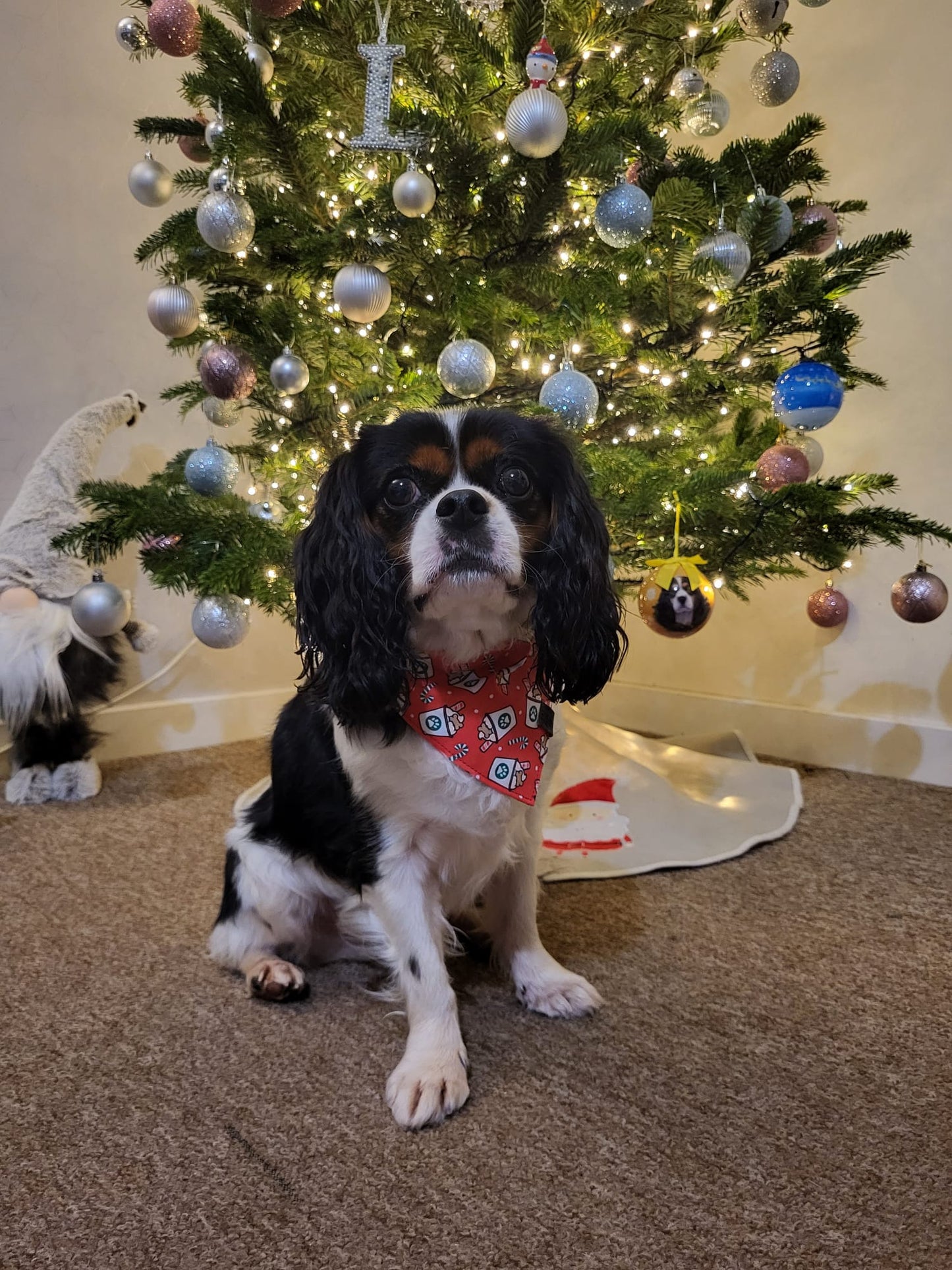 Christmas Bandana - Pup Cup!