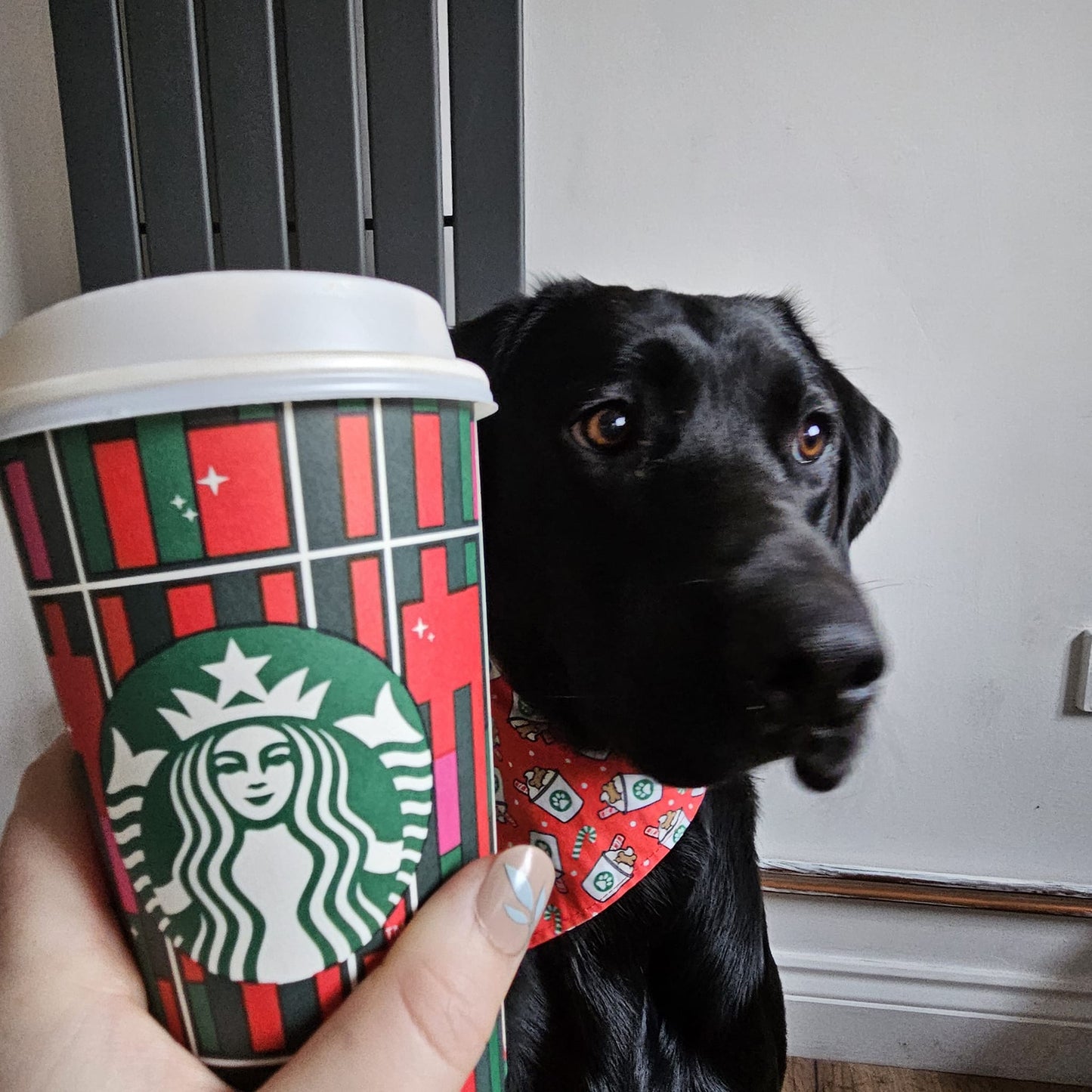 Christmas Bandana - Pup Cup!