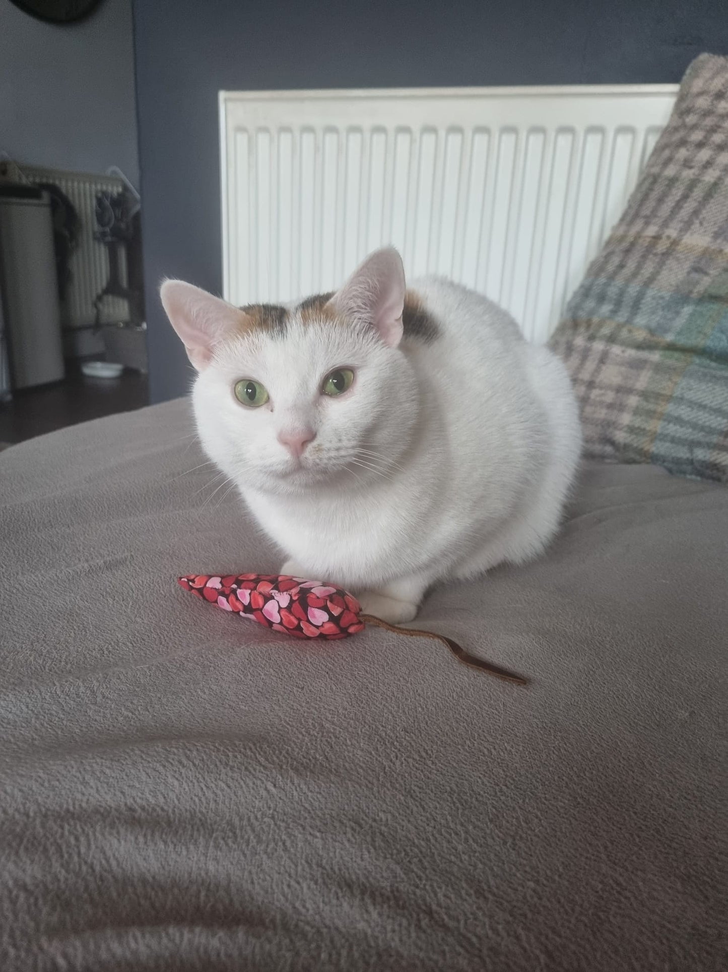 Cat Nip Mouse