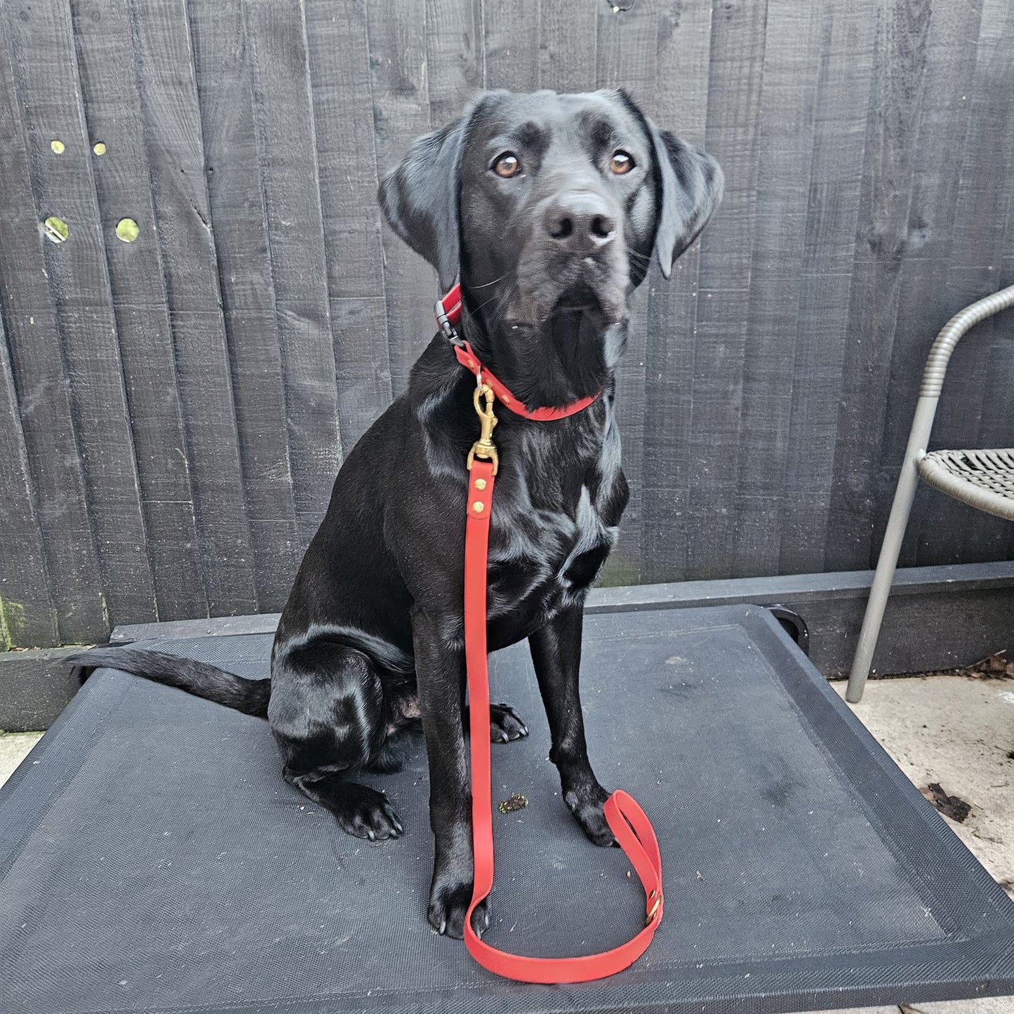 Waterproof Lead - Red Biothane®