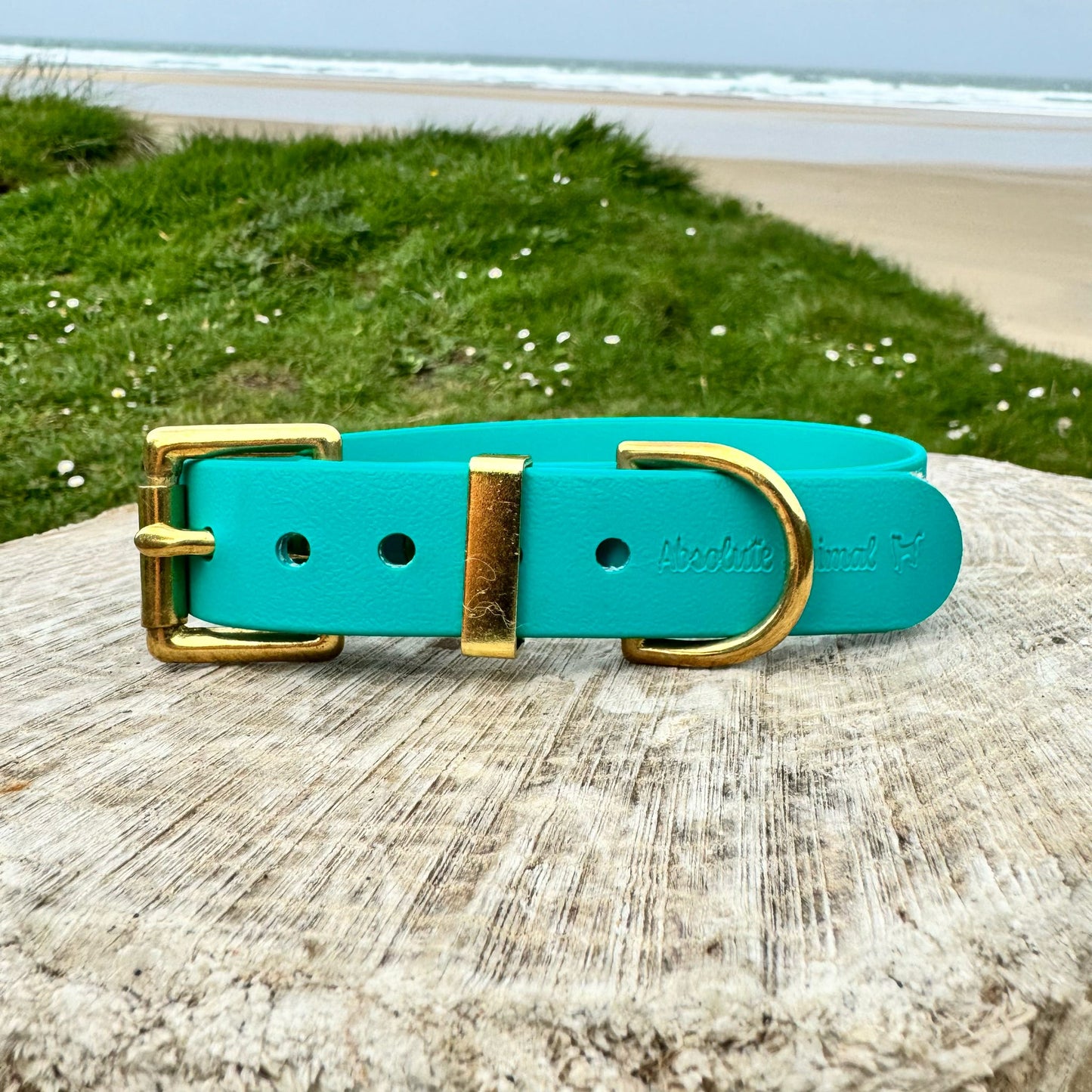 Waterproof Lead - Teal Biothane®