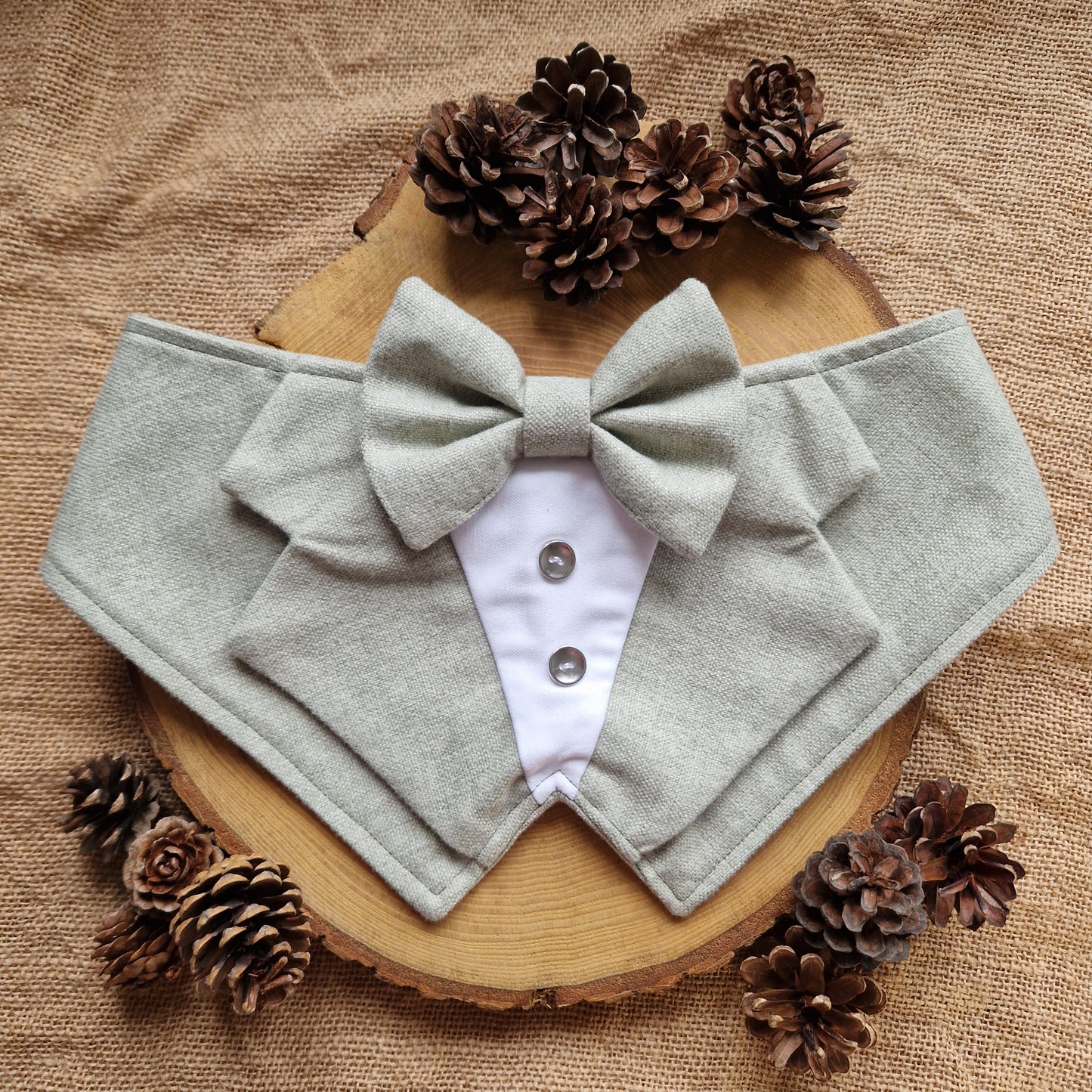Wedding Dog Tuxedo - Sage Green
