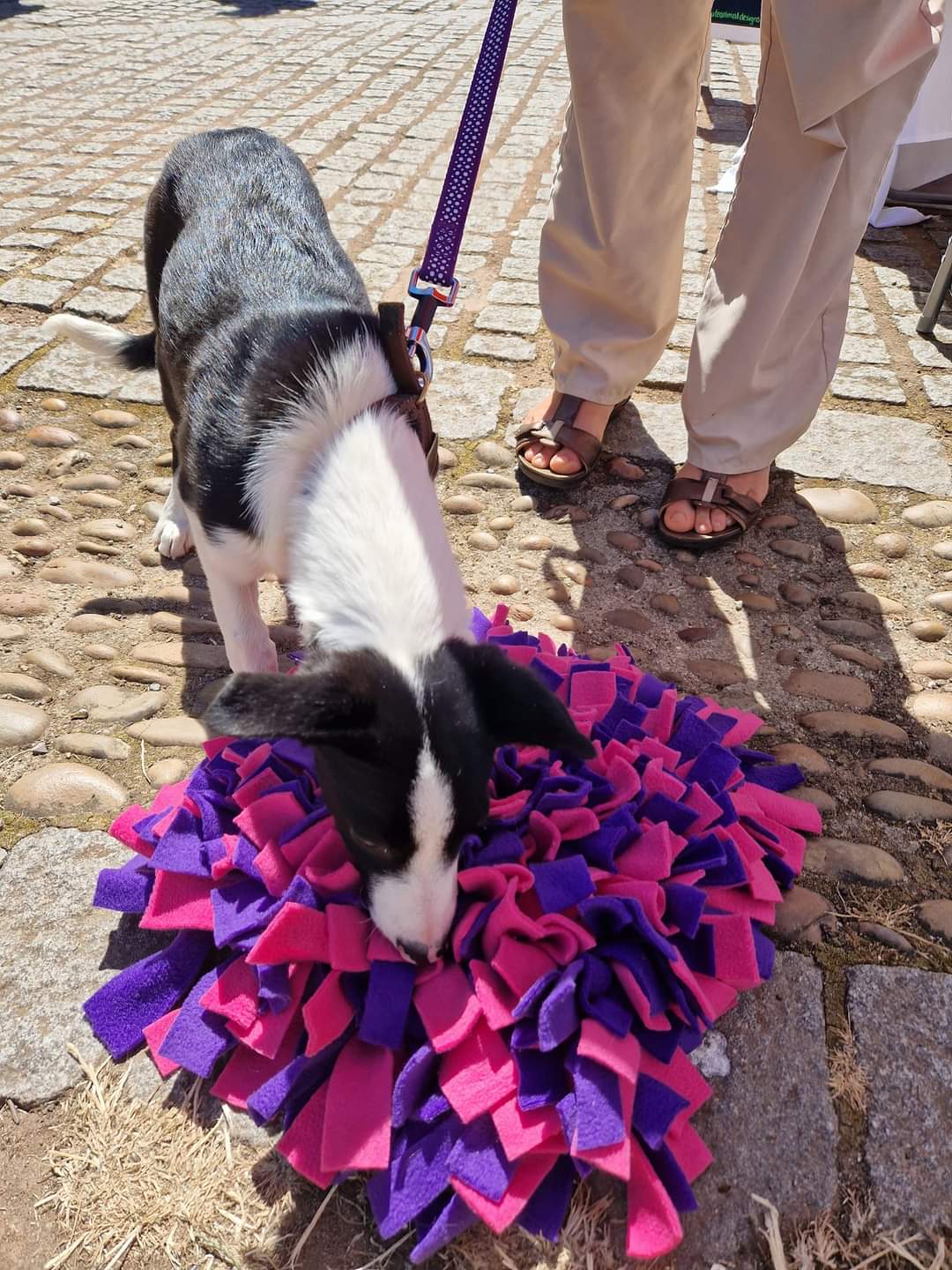 Snuffle Mat