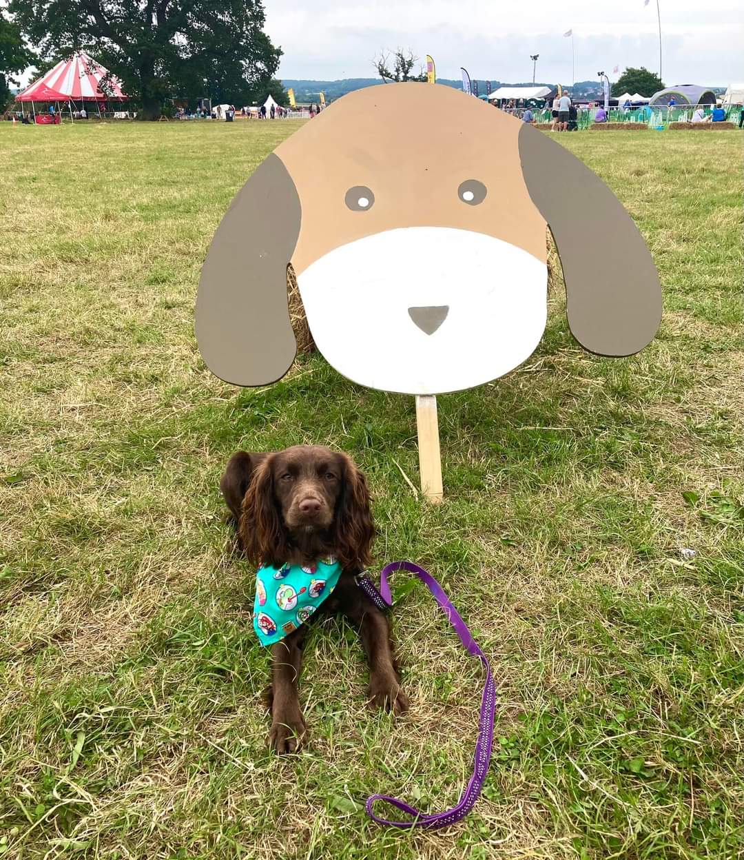 Bandana - Super Mario