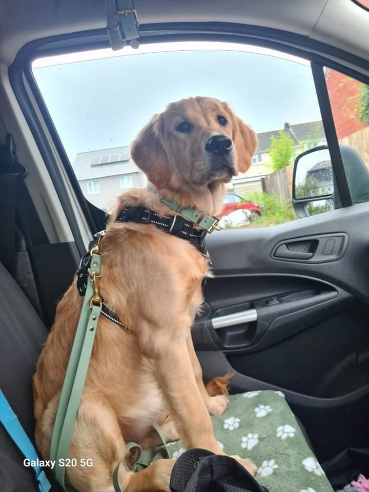 Waterproof Lead - Sage Biothane®