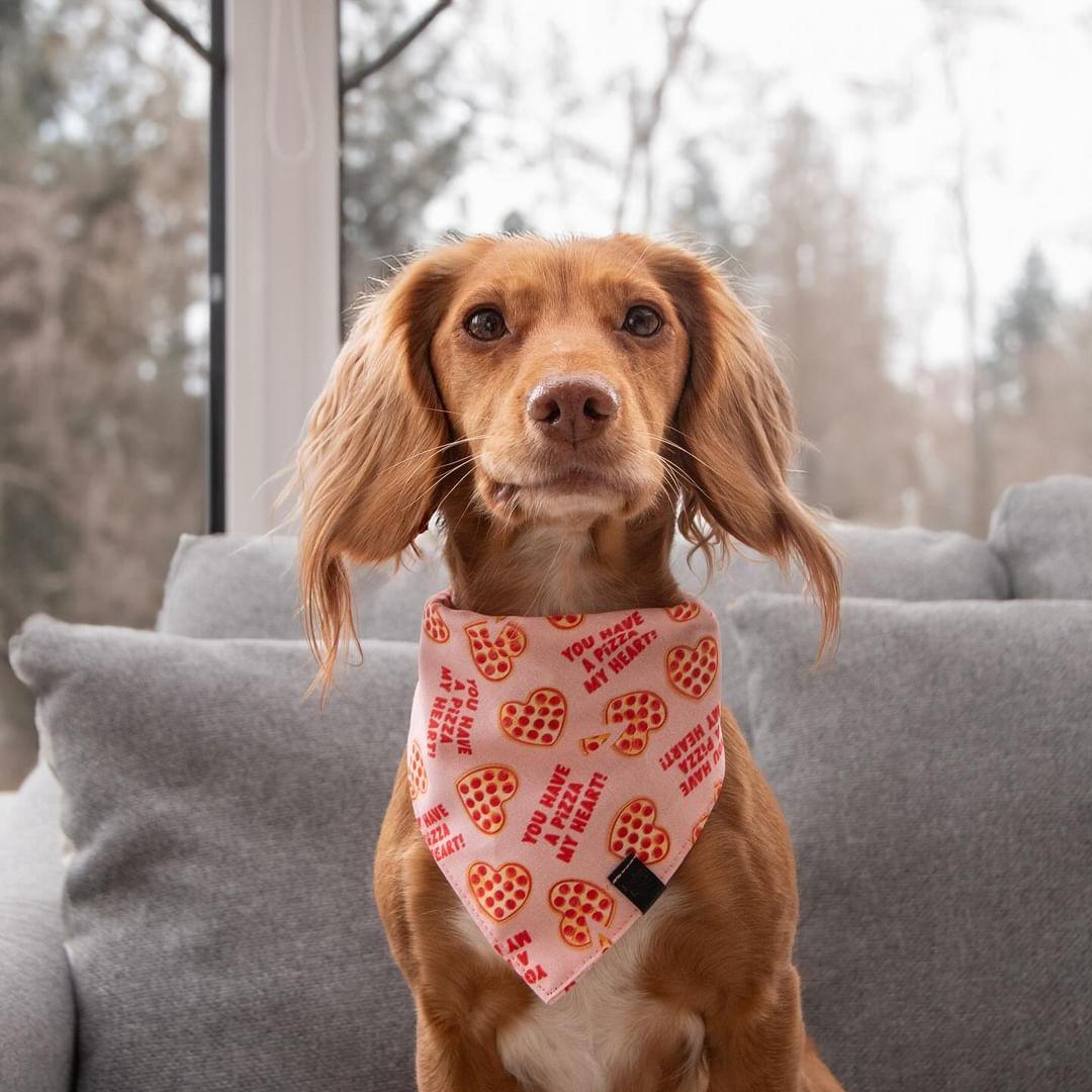 Bandana - Pizza My Heart