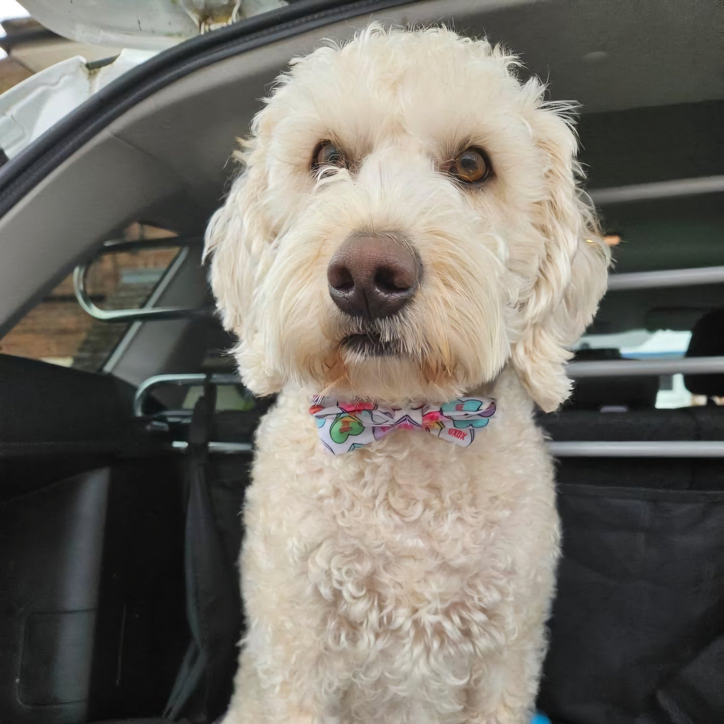 Bow Tie - Sweet Love Hearts