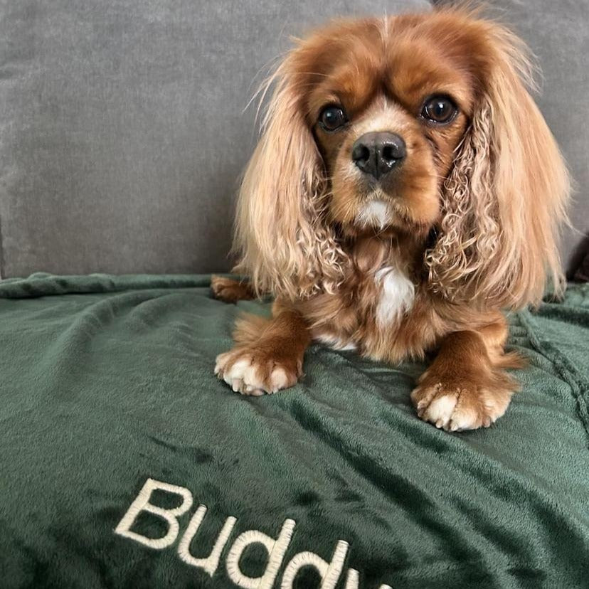 Personalised Blankets