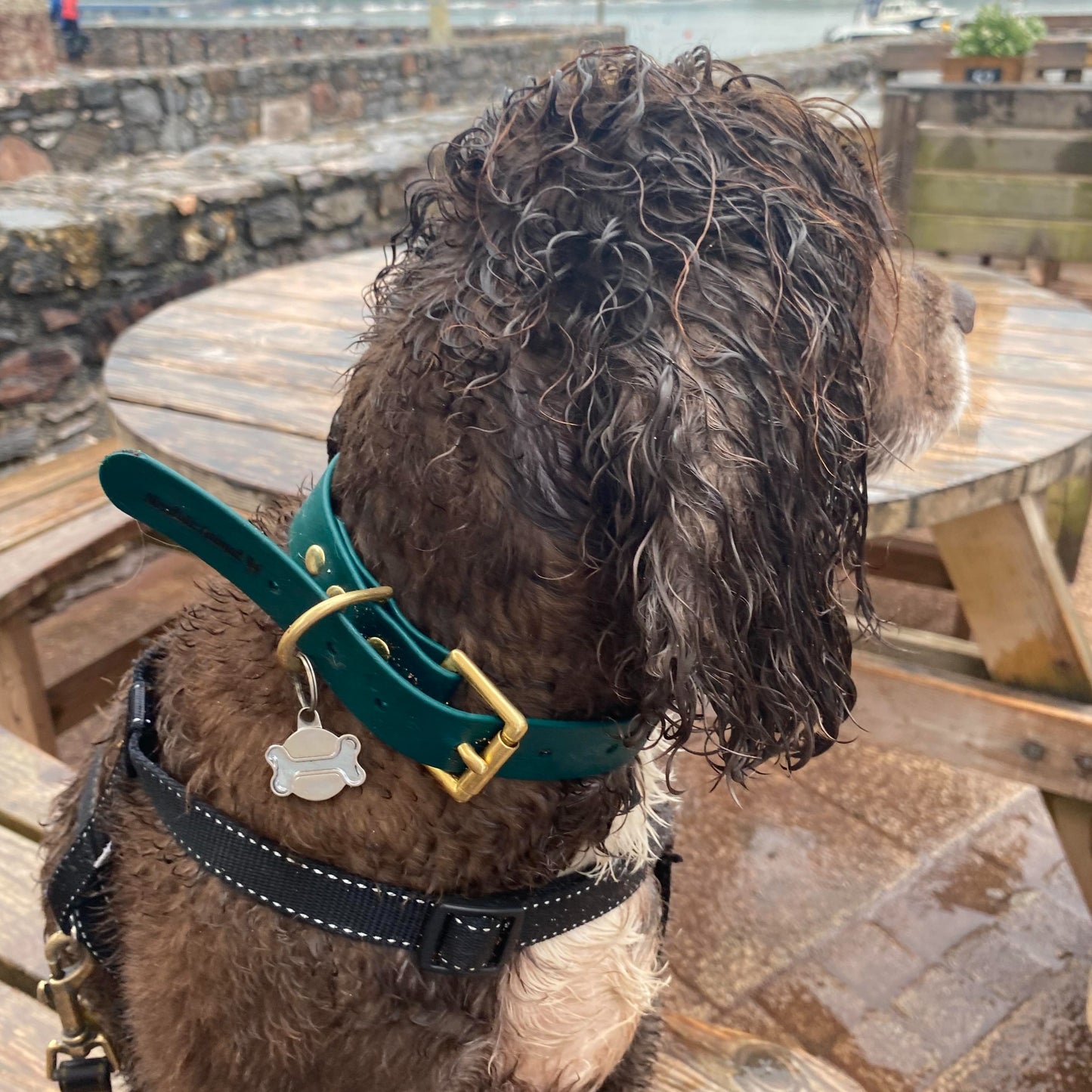 Waterproof Collar - Dark Green