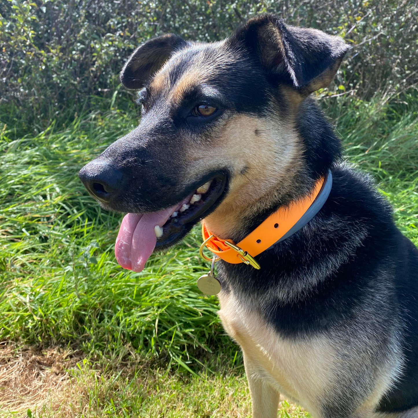 Waterproof Lead - Orange Biothane®