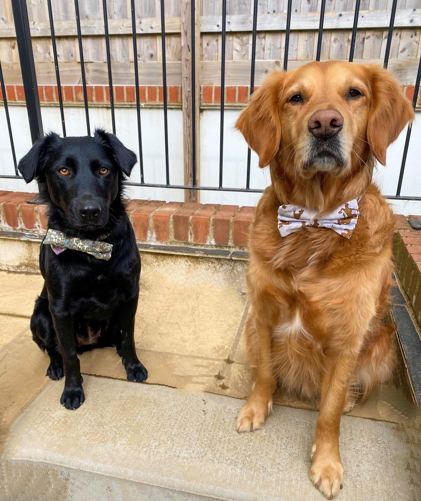 Bow Tie - Scooby Doo