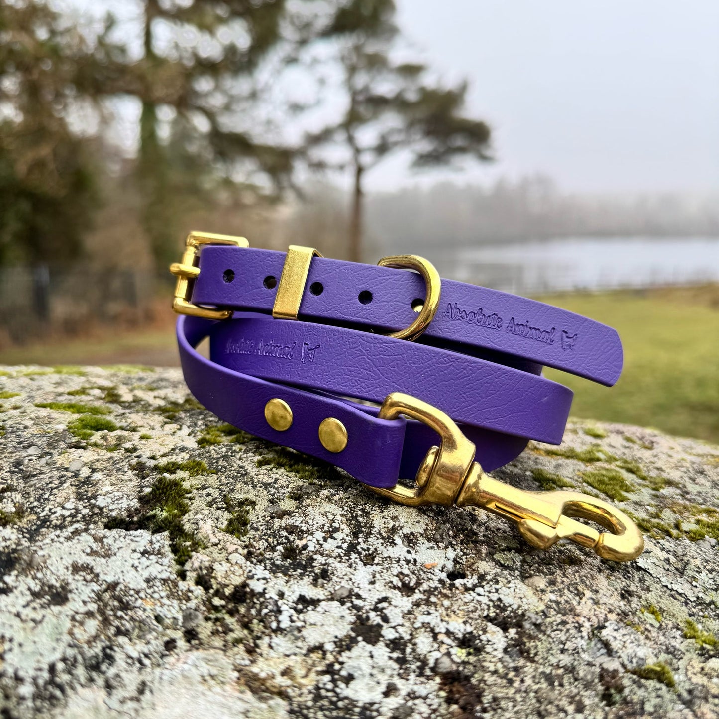 Waterproof Lead - Violet Biothane®