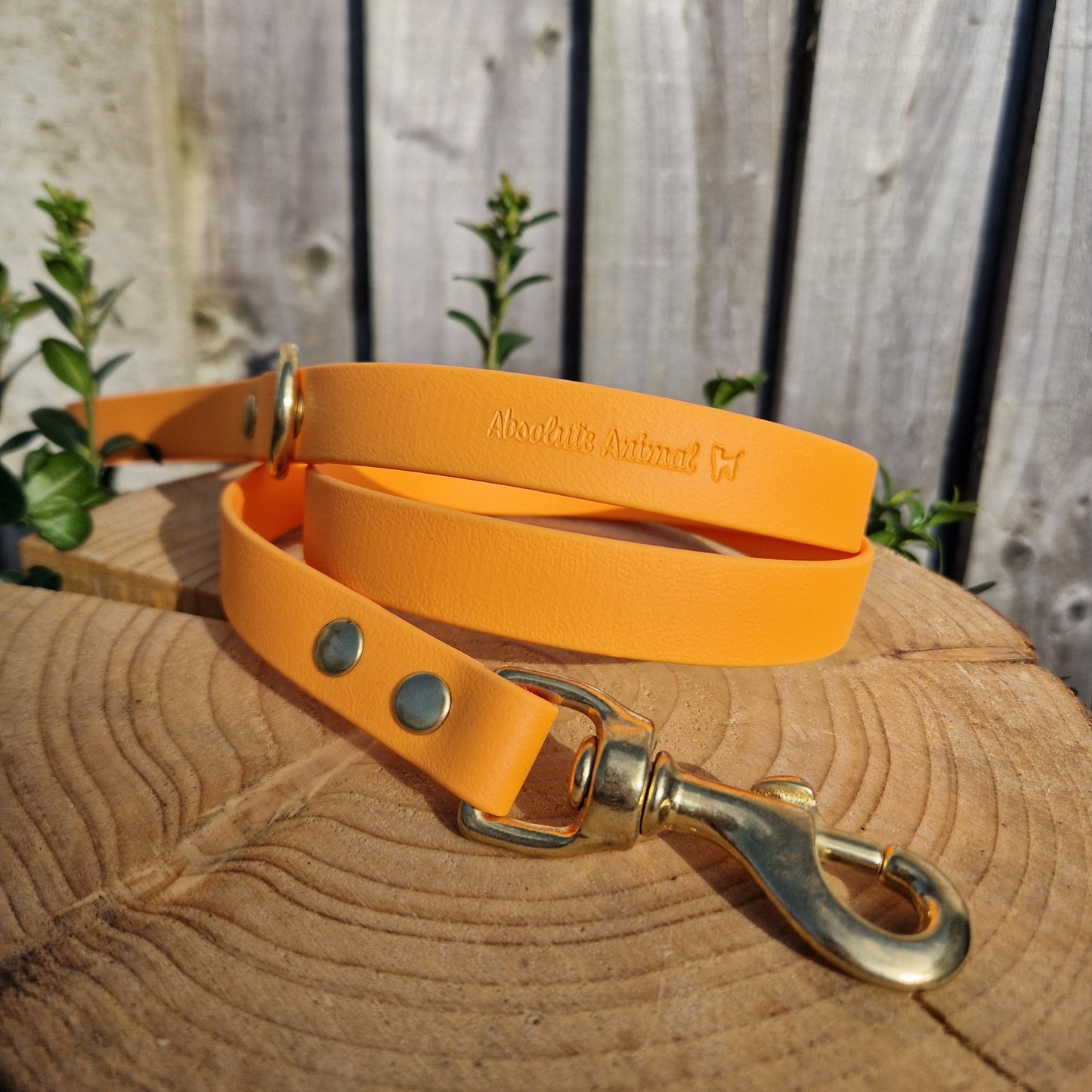 Waterproof Lead - Orange Biothane®