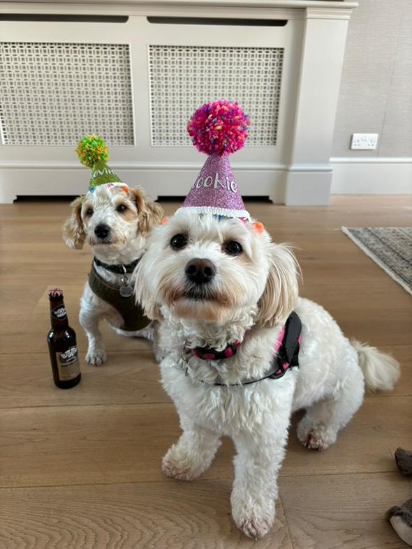 Birthday Hats - Personalised