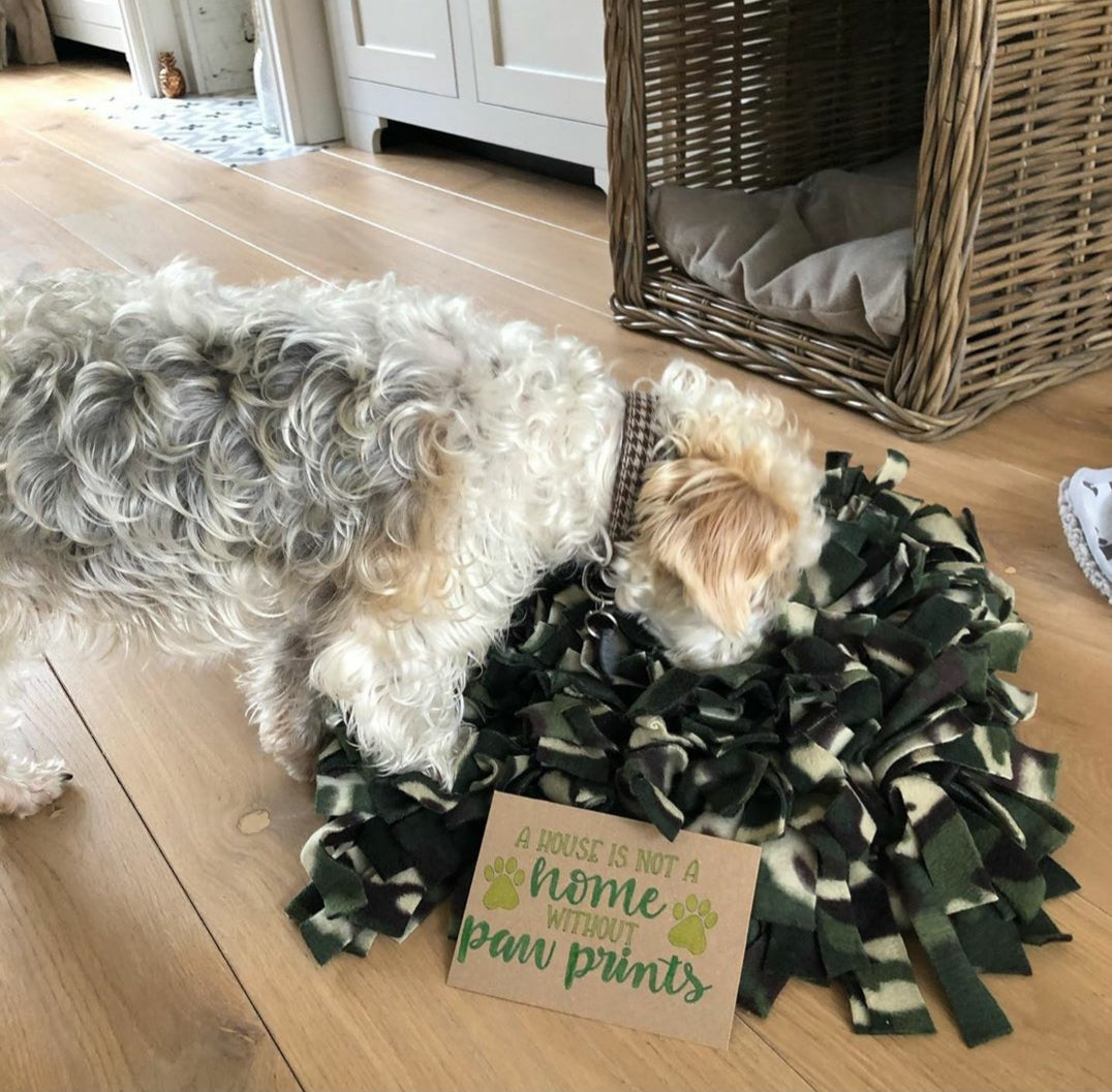 Snuffle Mat