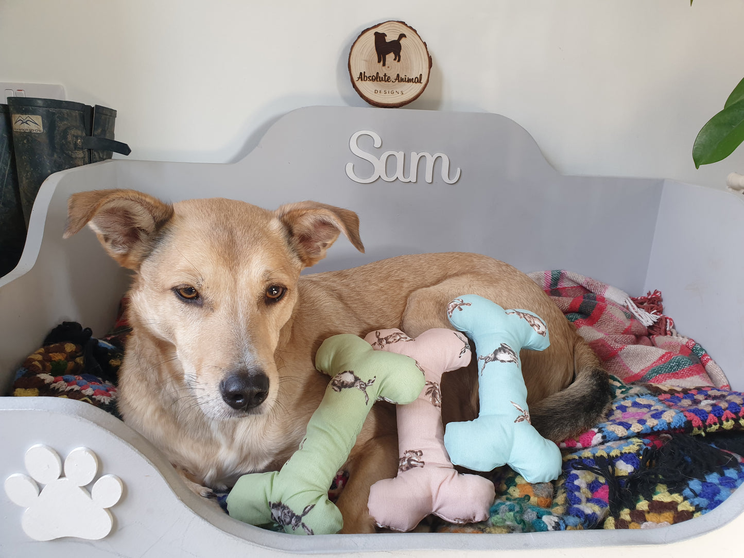 Soft Bone - Bunny *Blue*