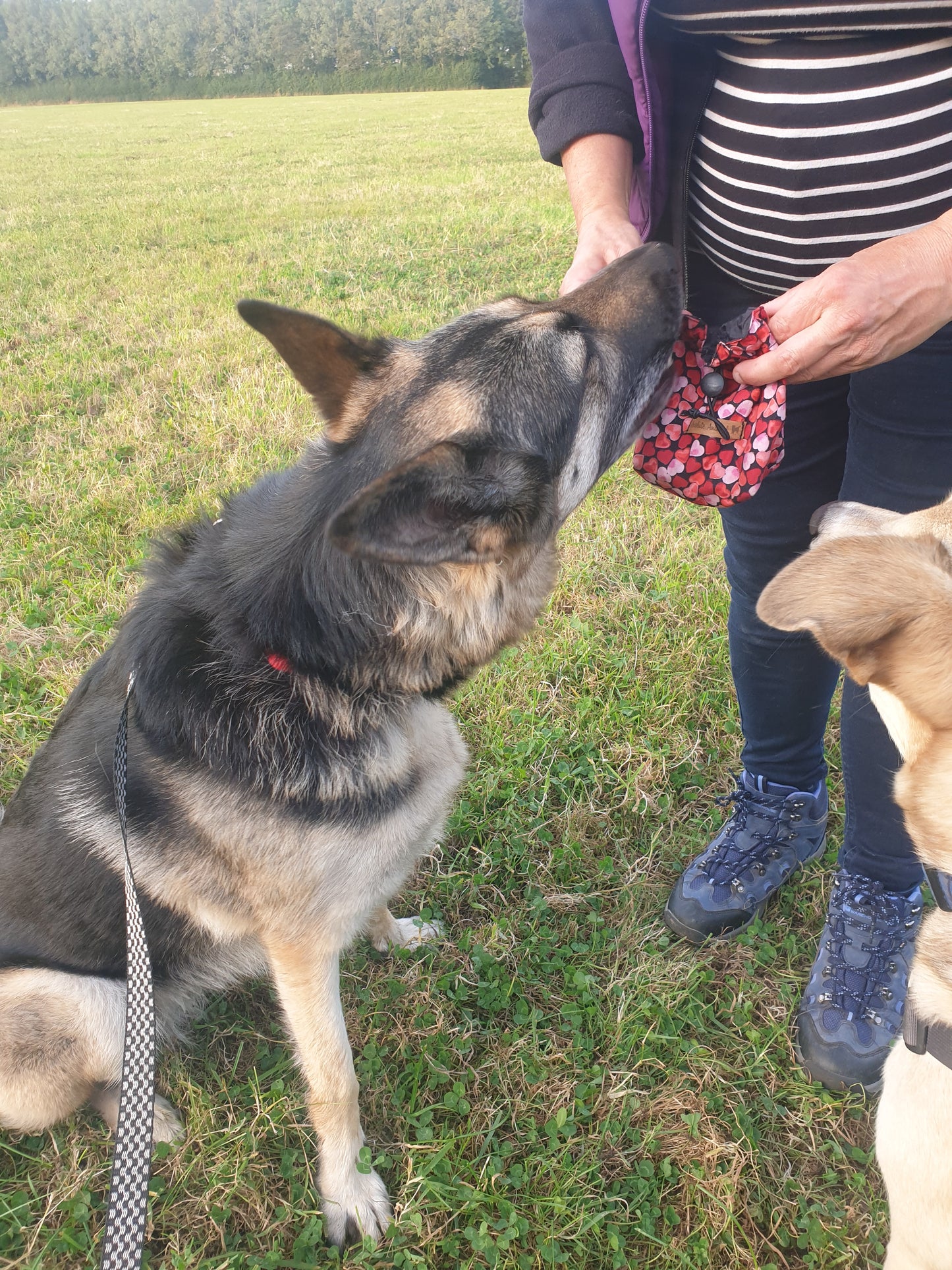 Treat Bag - Love Hearts