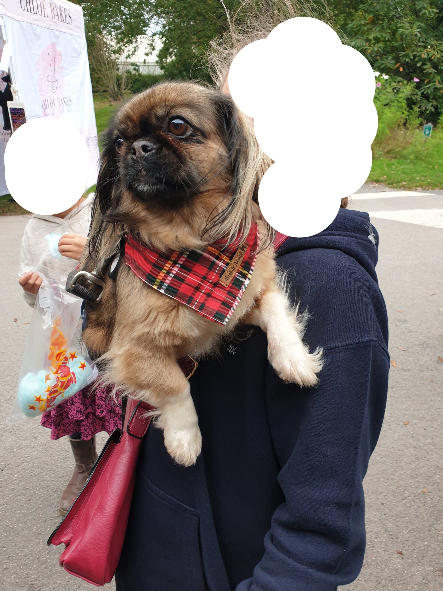 Bandana - Red Tartan