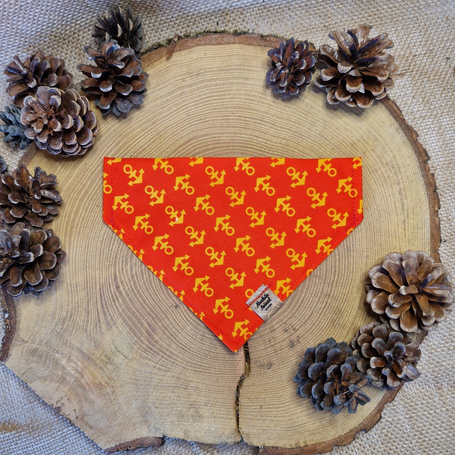 Red, orange Anchor bandana. Summer, bright.