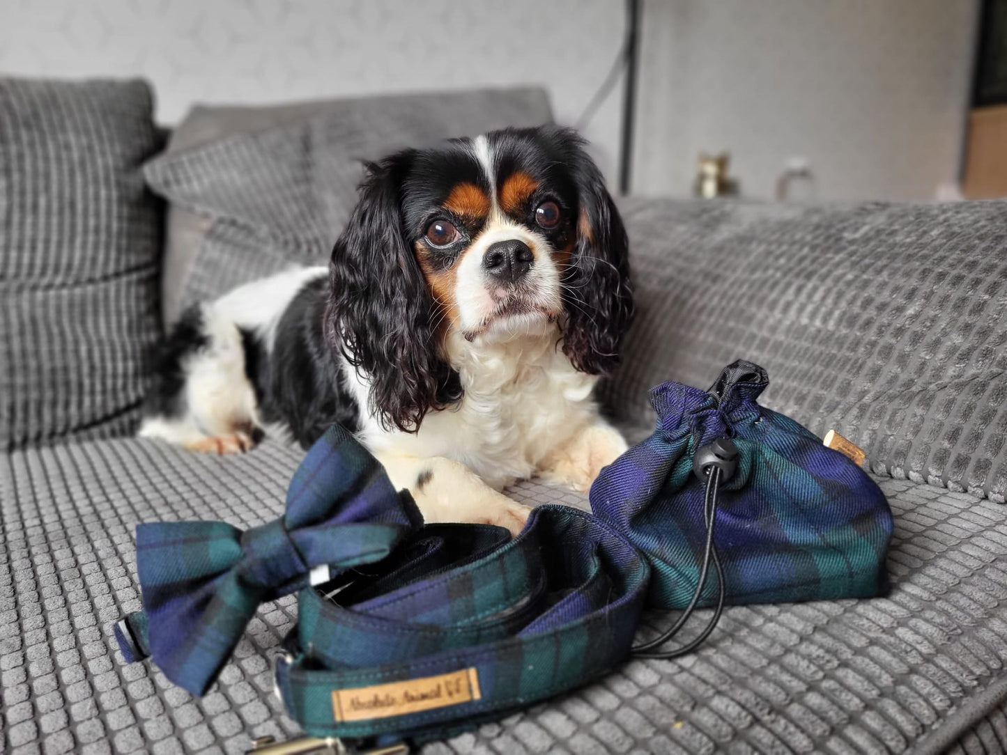 Treat Bag - Navy Green Tartan