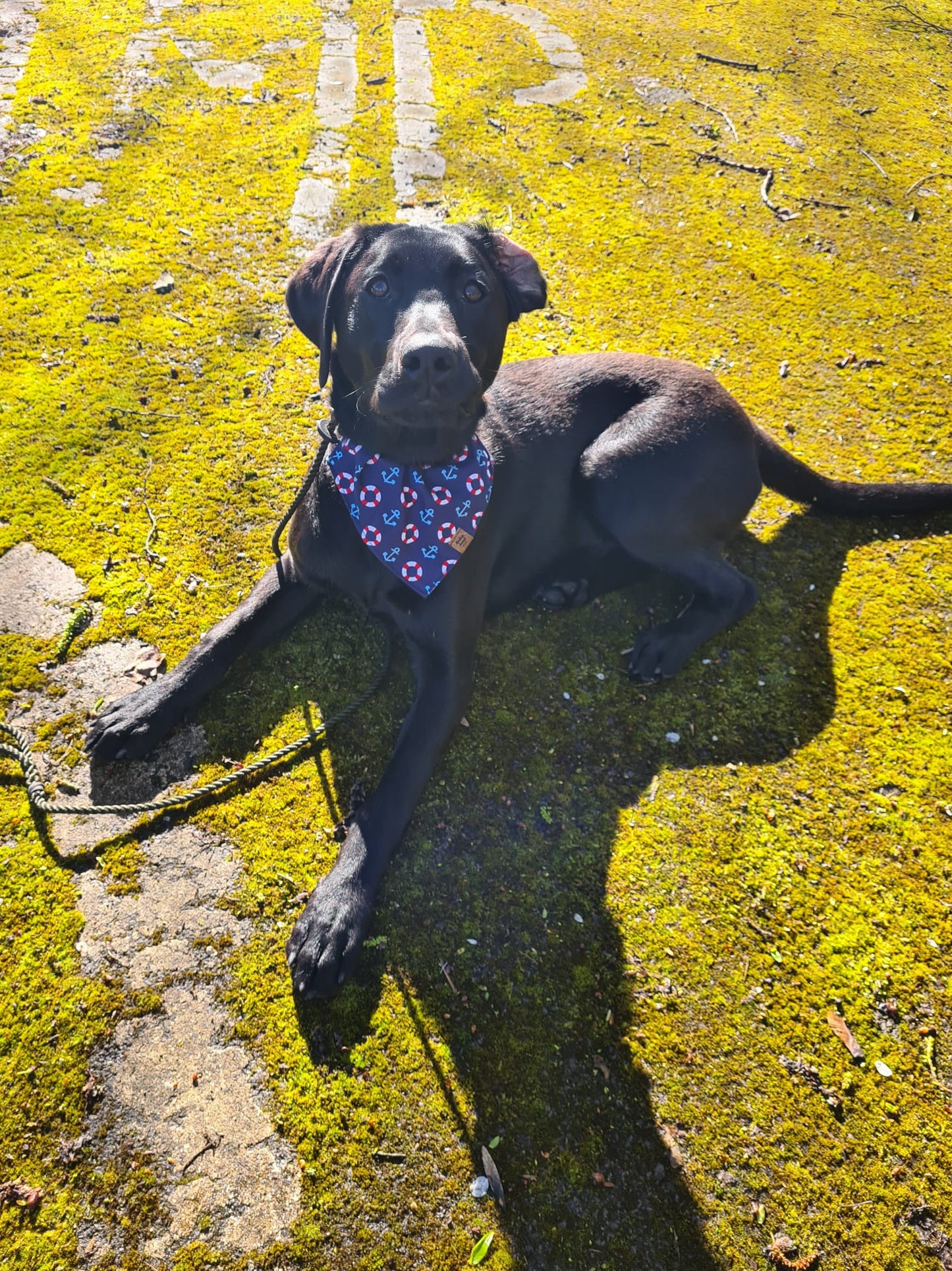 Bandana - Ships Ahoy