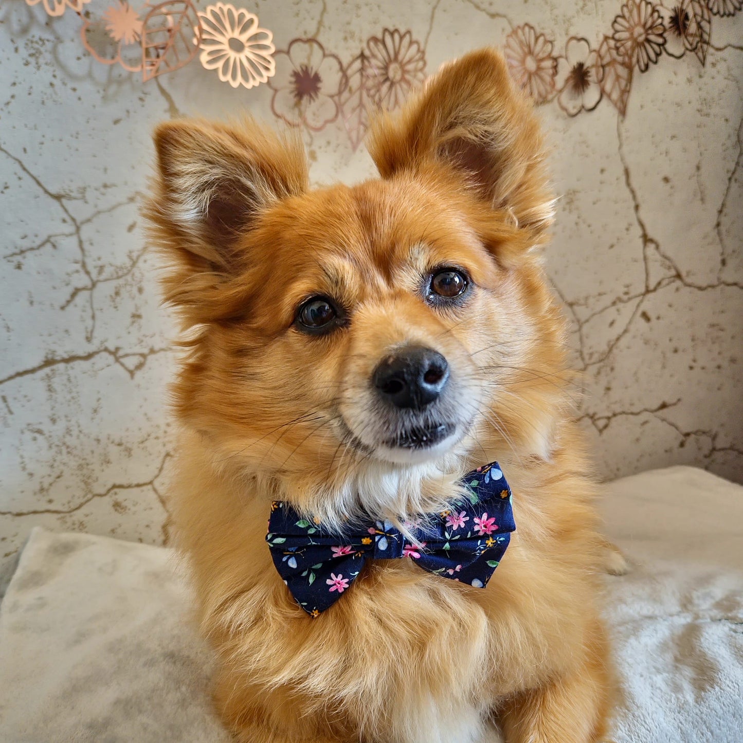 Bow Tie - Flutterway