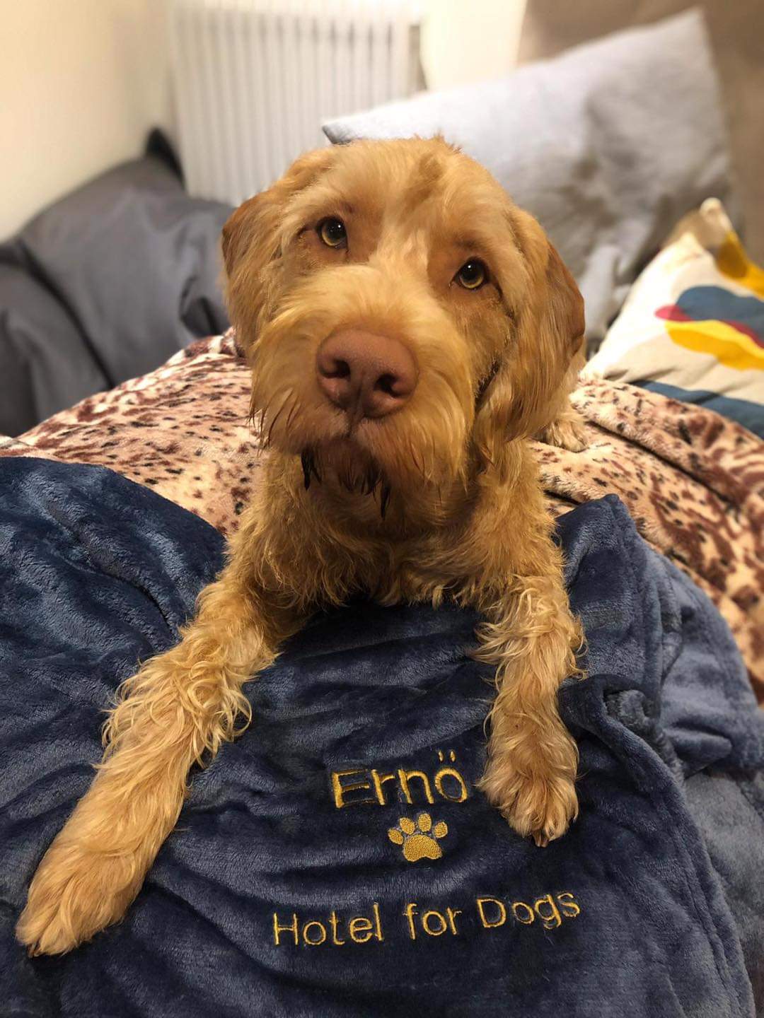 Personalised Blankets
