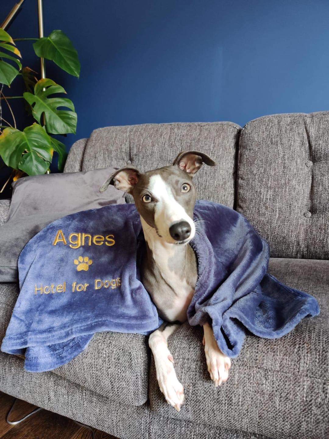Personalised Blankets