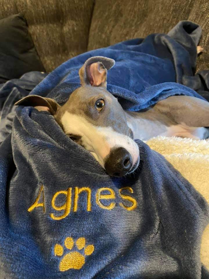 Personalised Blankets